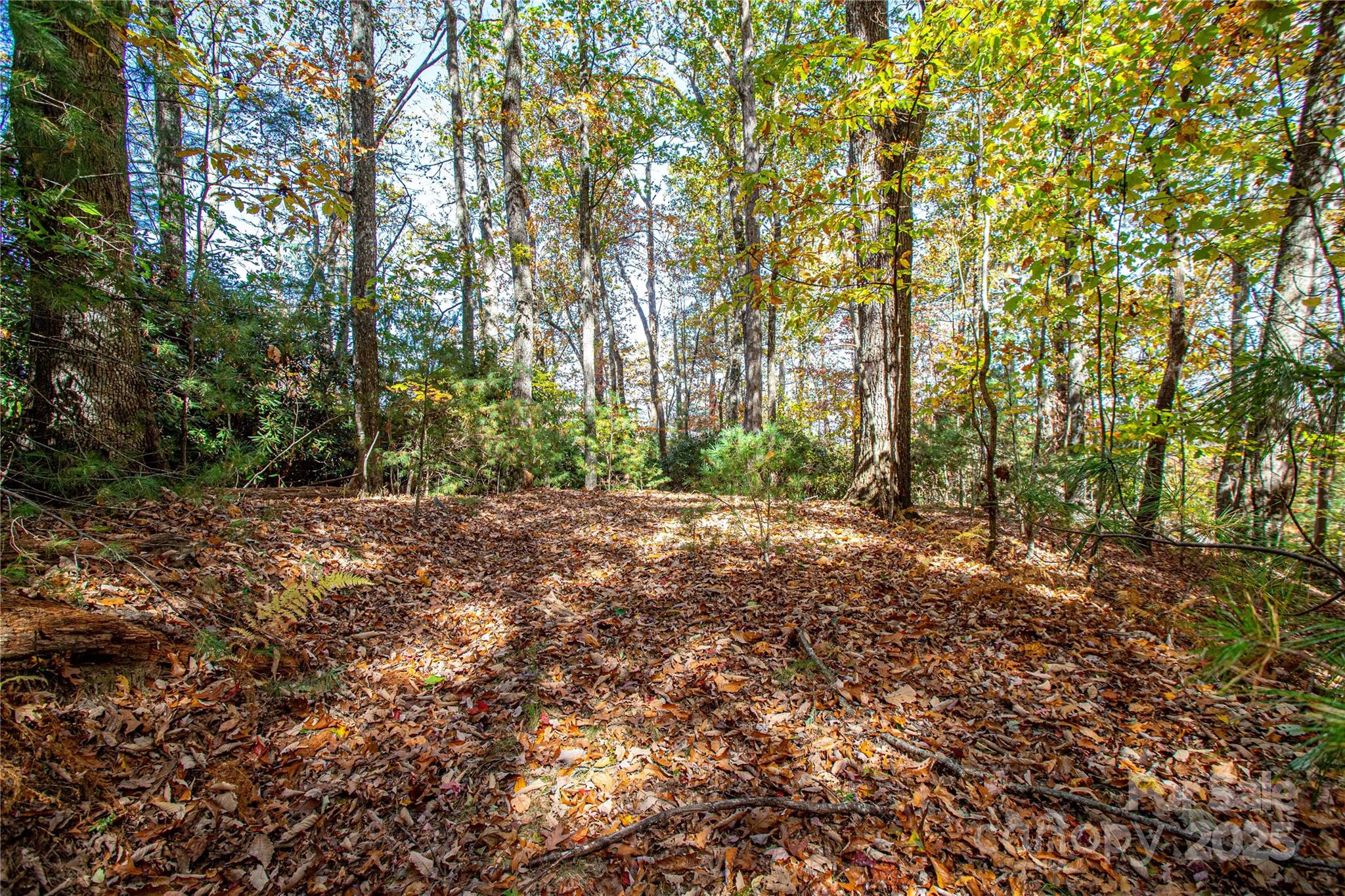 Lot at TBD Reserve Road, Brevard, photo 11 of 15