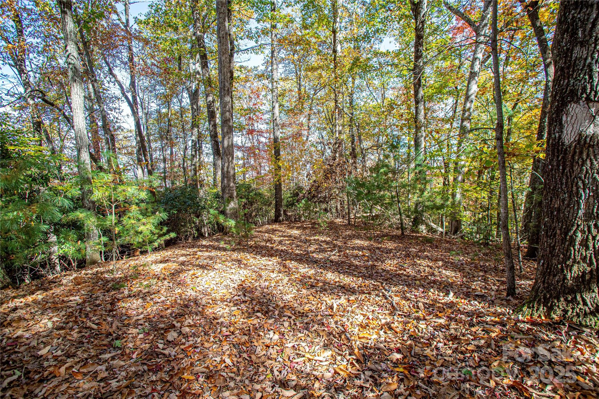 Lot at TBD Reserve Road, Brevard, photo 12 of 15
