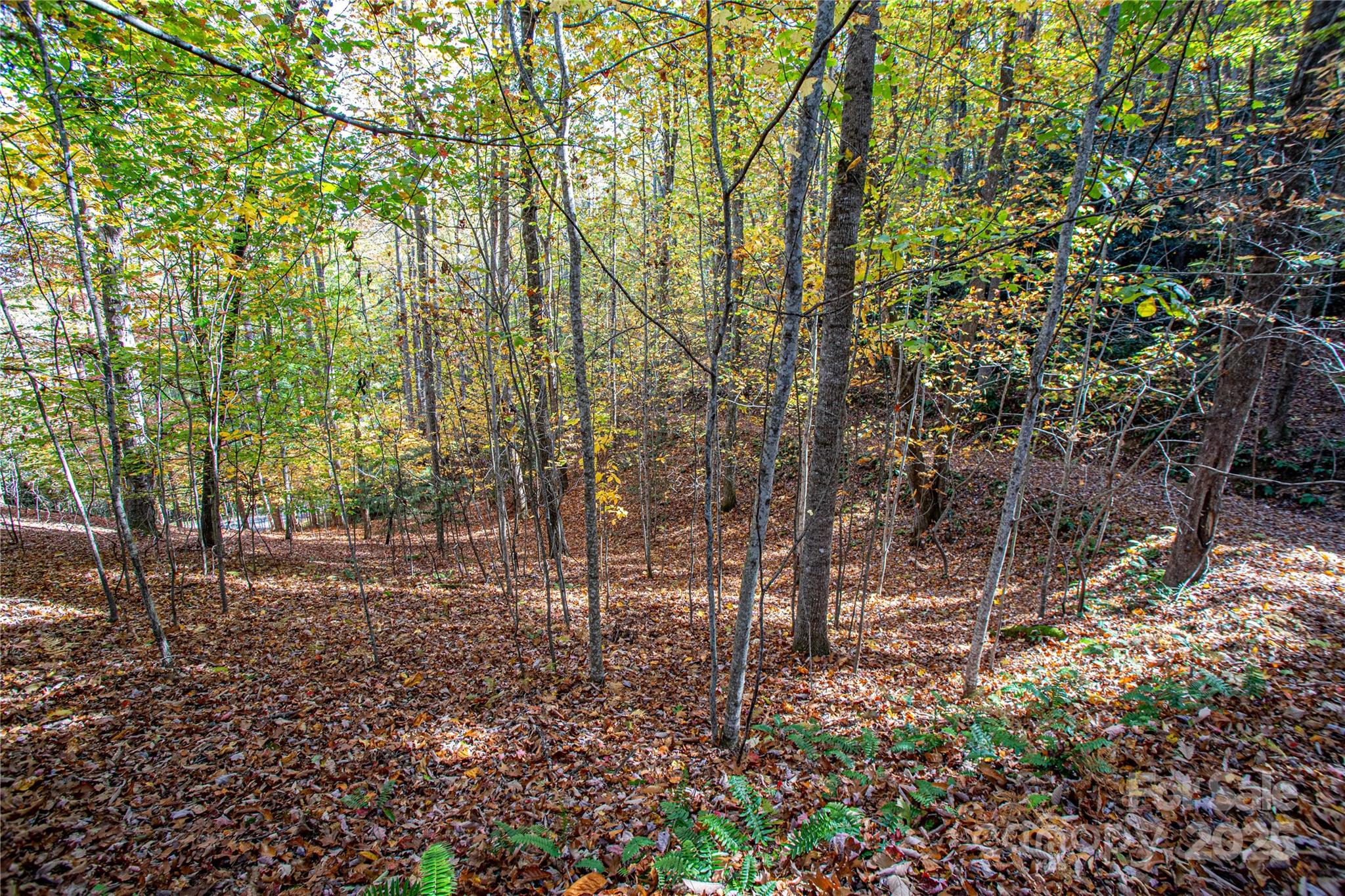 Lot at TBD Reserve Road, Brevard, photo 13 of 15