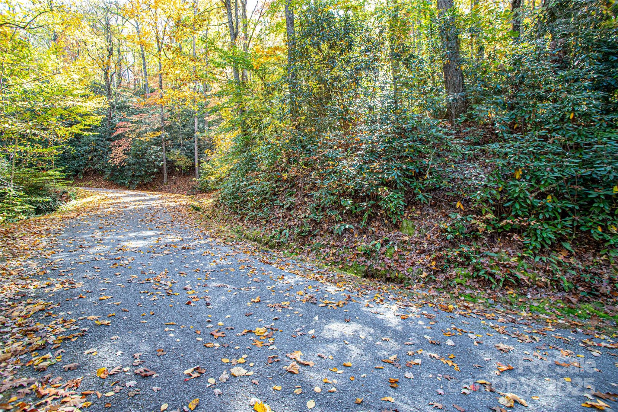 Lot at TBD Reserve Road, Brevard, photo 14 of 15