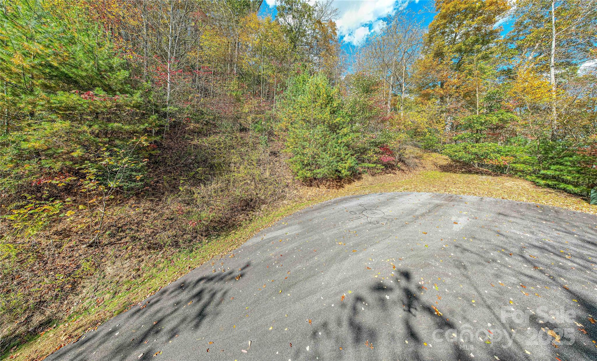 TBD High Point Trail