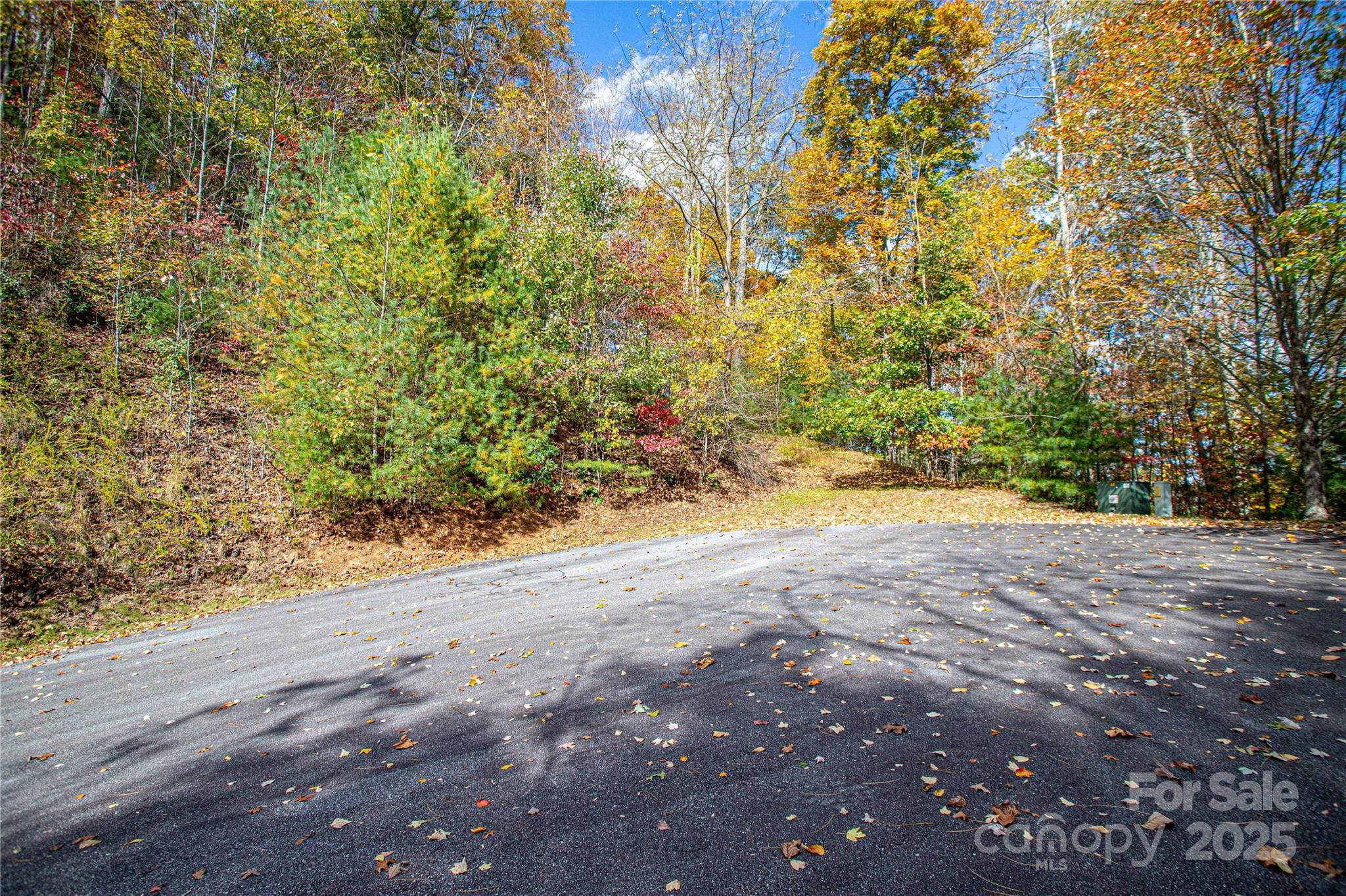 Lot at TBD High Point Trail, Brevard, photo 6 of 14