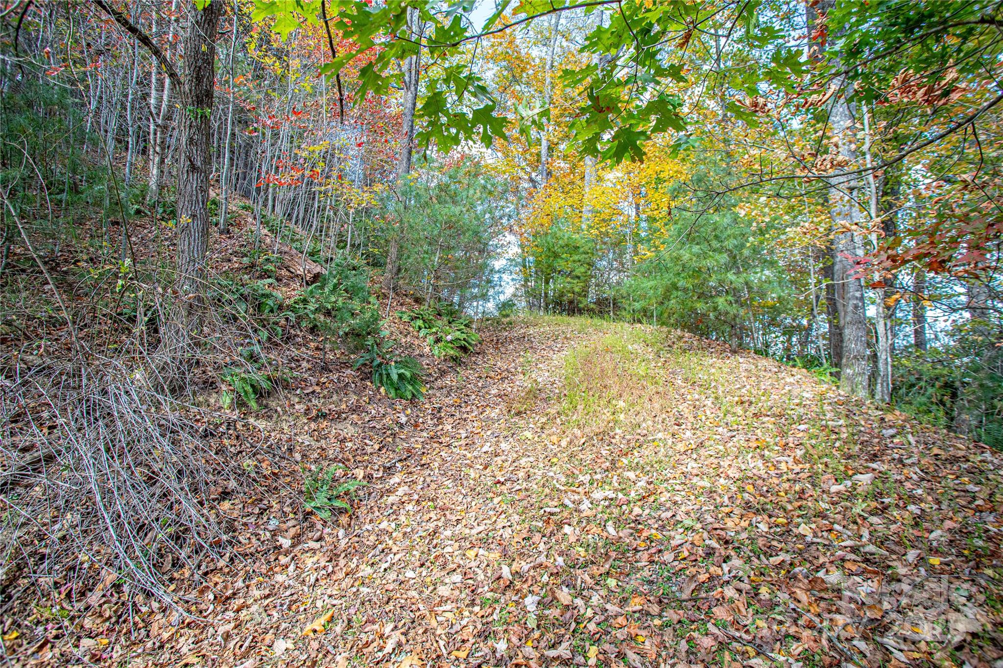 Lot at TBD High Point Trail, Brevard, photo 7 of 14