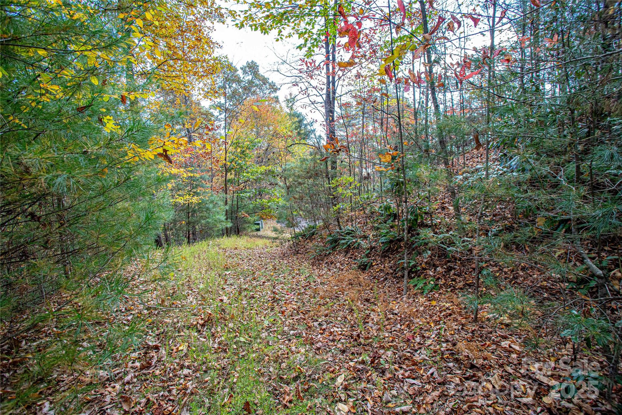Lot at TBD High Point Trail, Brevard, photo 8 of 14