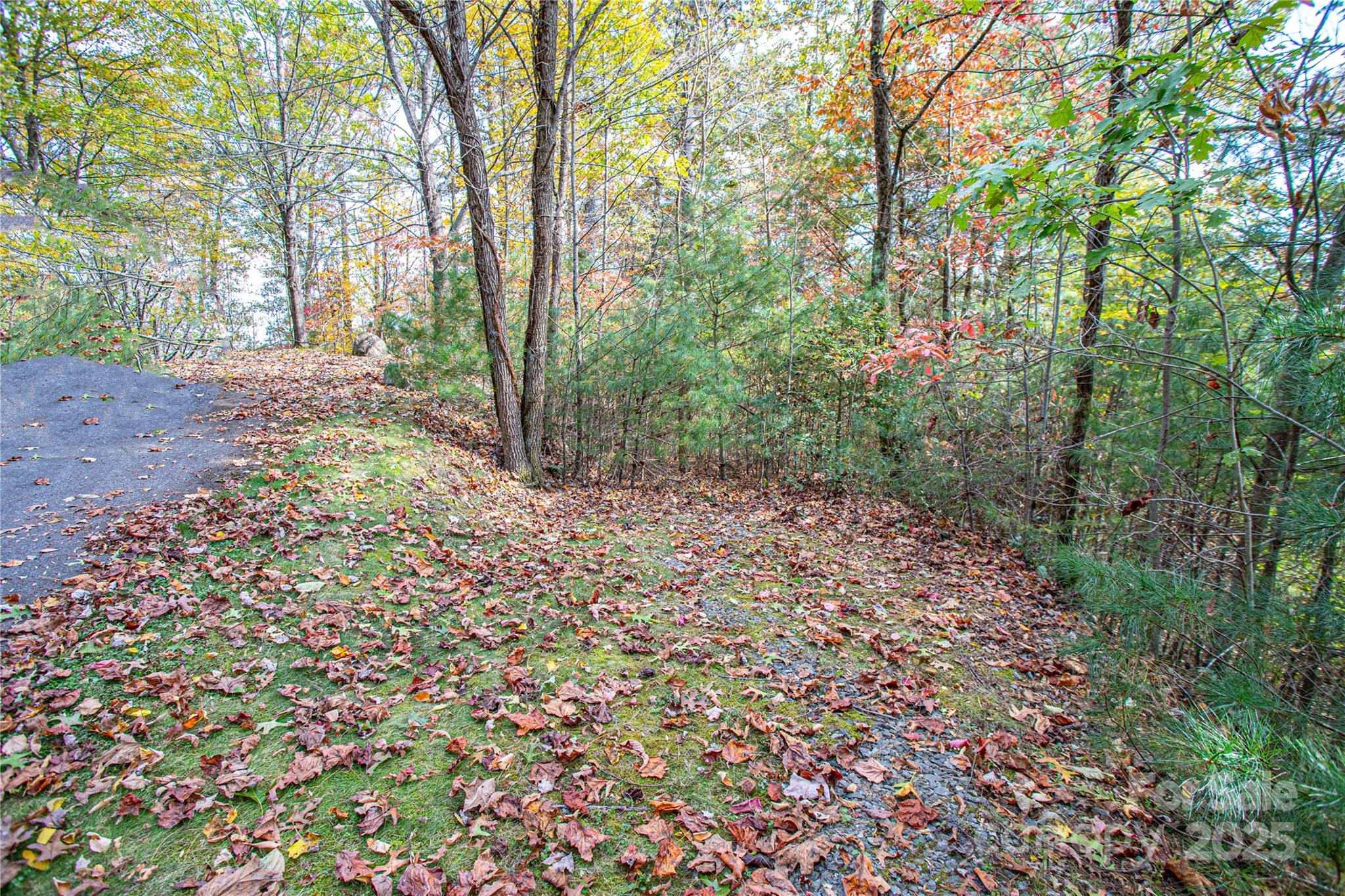 Lot at TBD High Point Trail, Brevard, photo 2 of 9