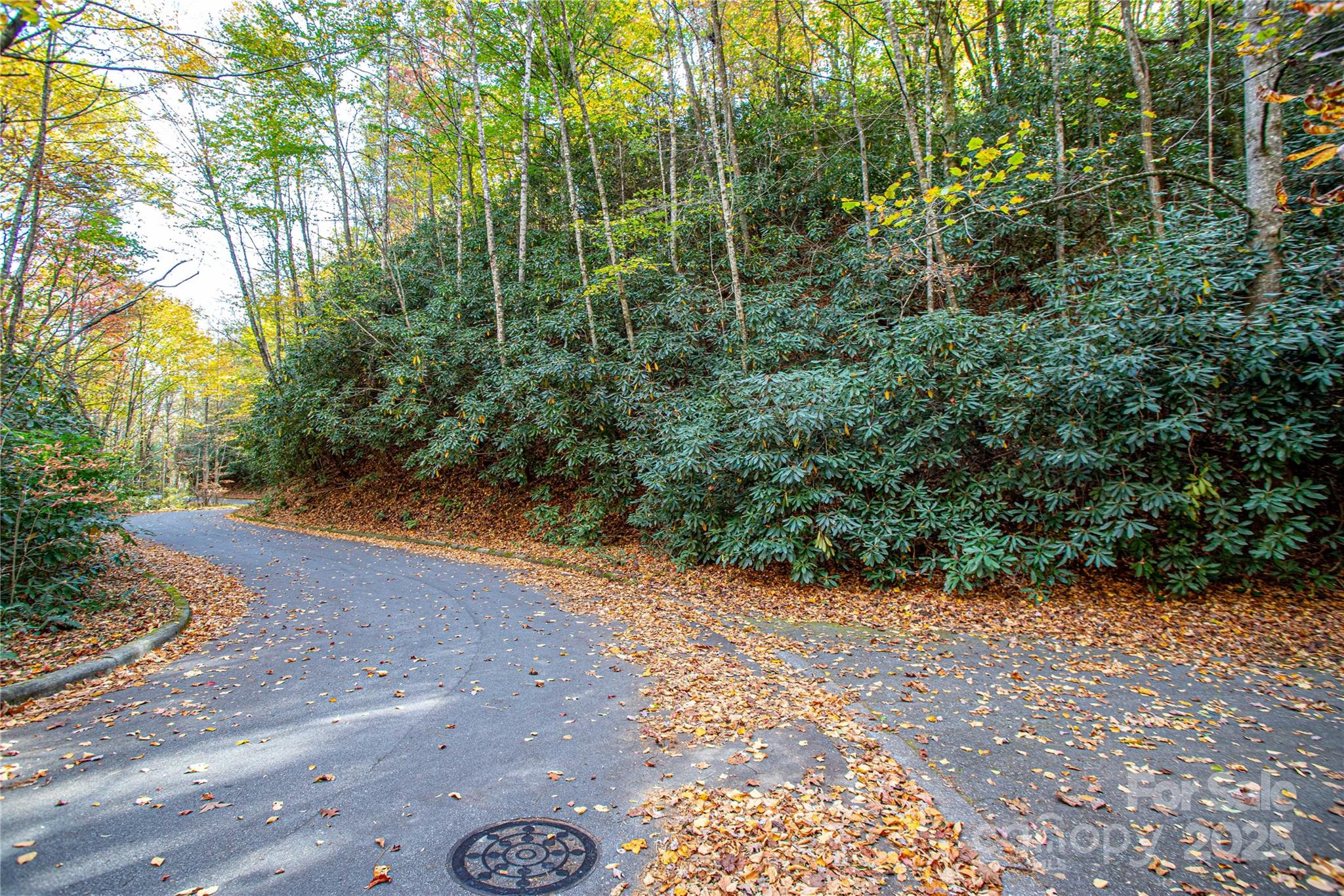 Lot at TBD Stone Drive, Brevard, photo 6 of 12