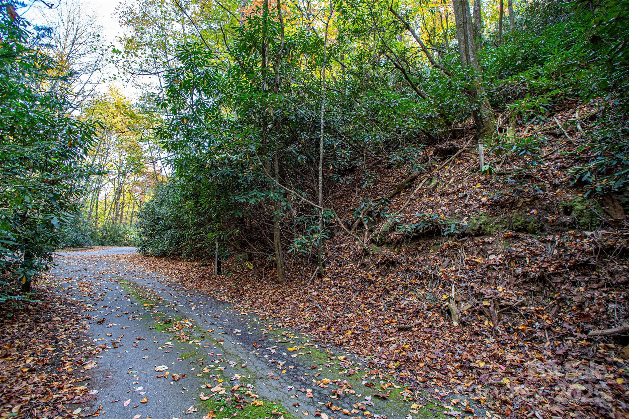 Lot at TBD Stone Drive, Brevard, photo 8 of 12