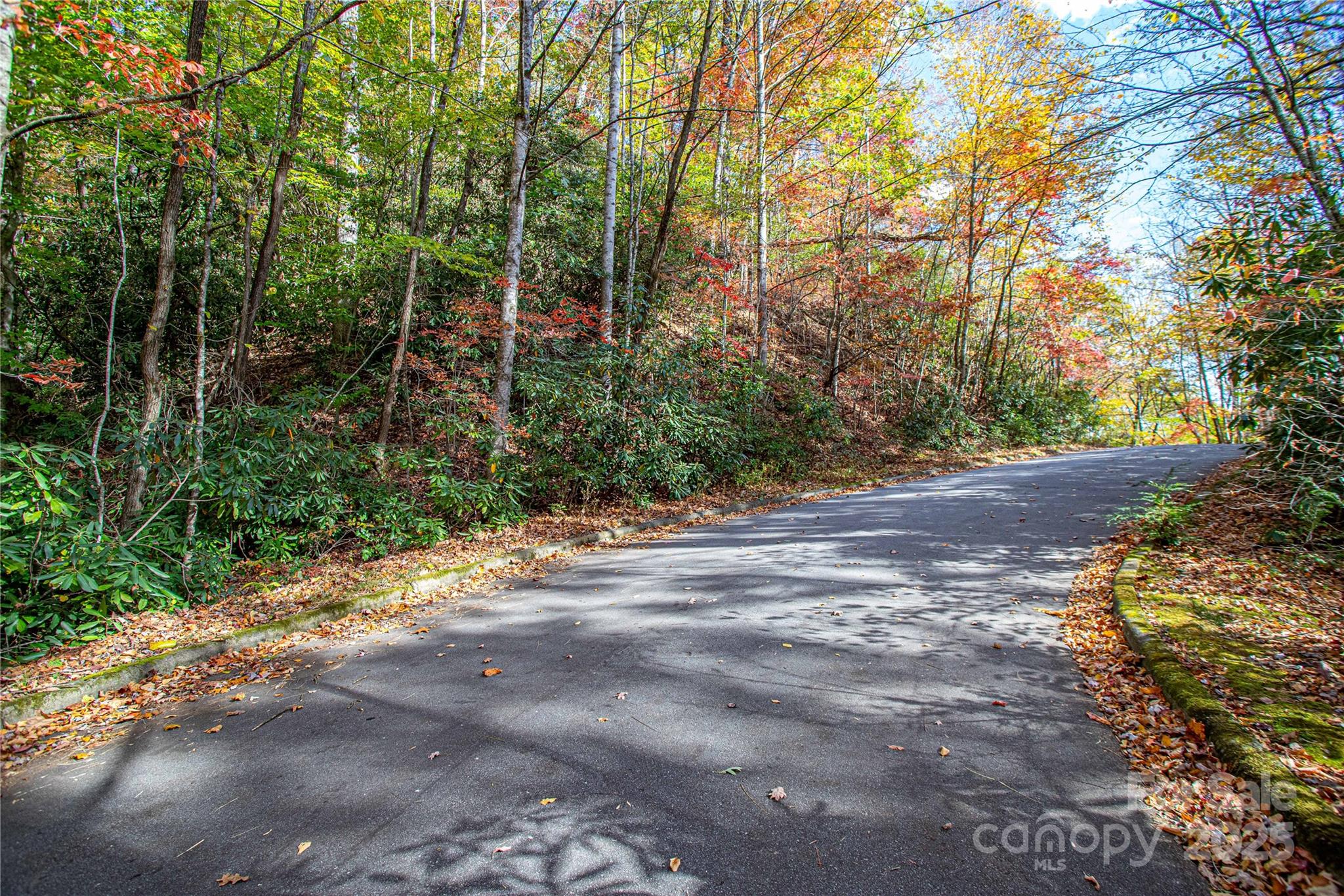 TBD Stone Drive
