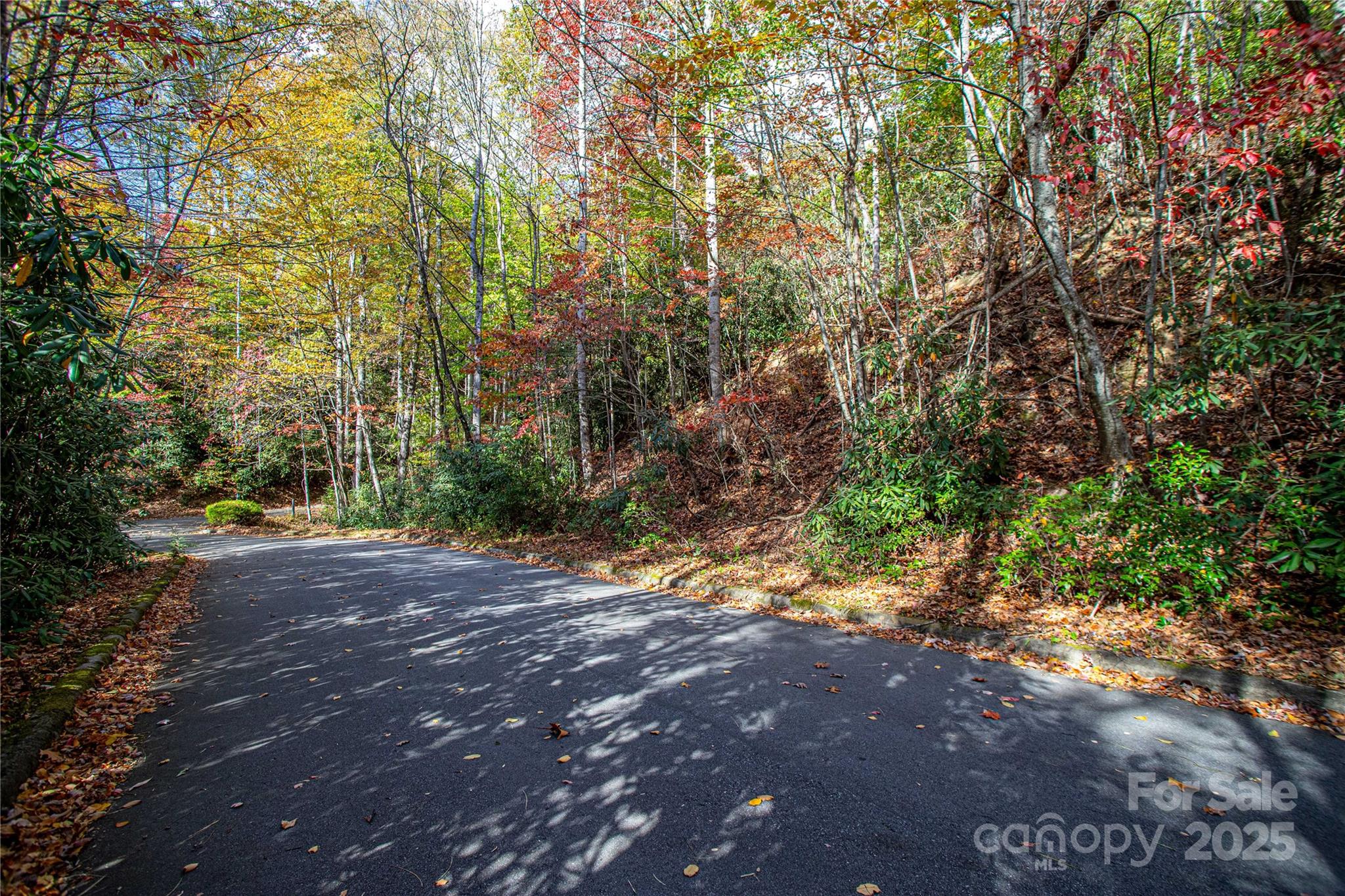 Lot at TBD Stone Drive, Brevard, photo 2 of 11