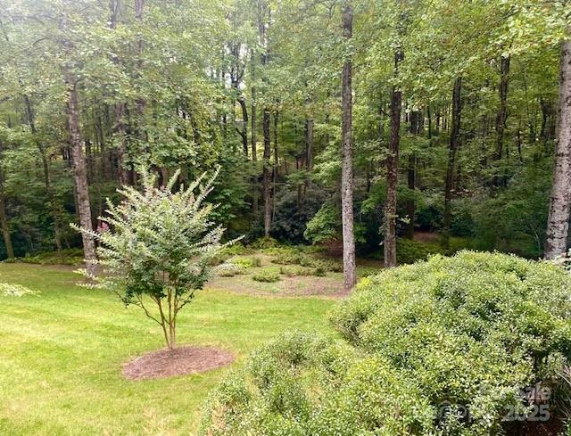 Single Family Residence at 115 Chancery Court, Flat Rock, photo 43 of 47