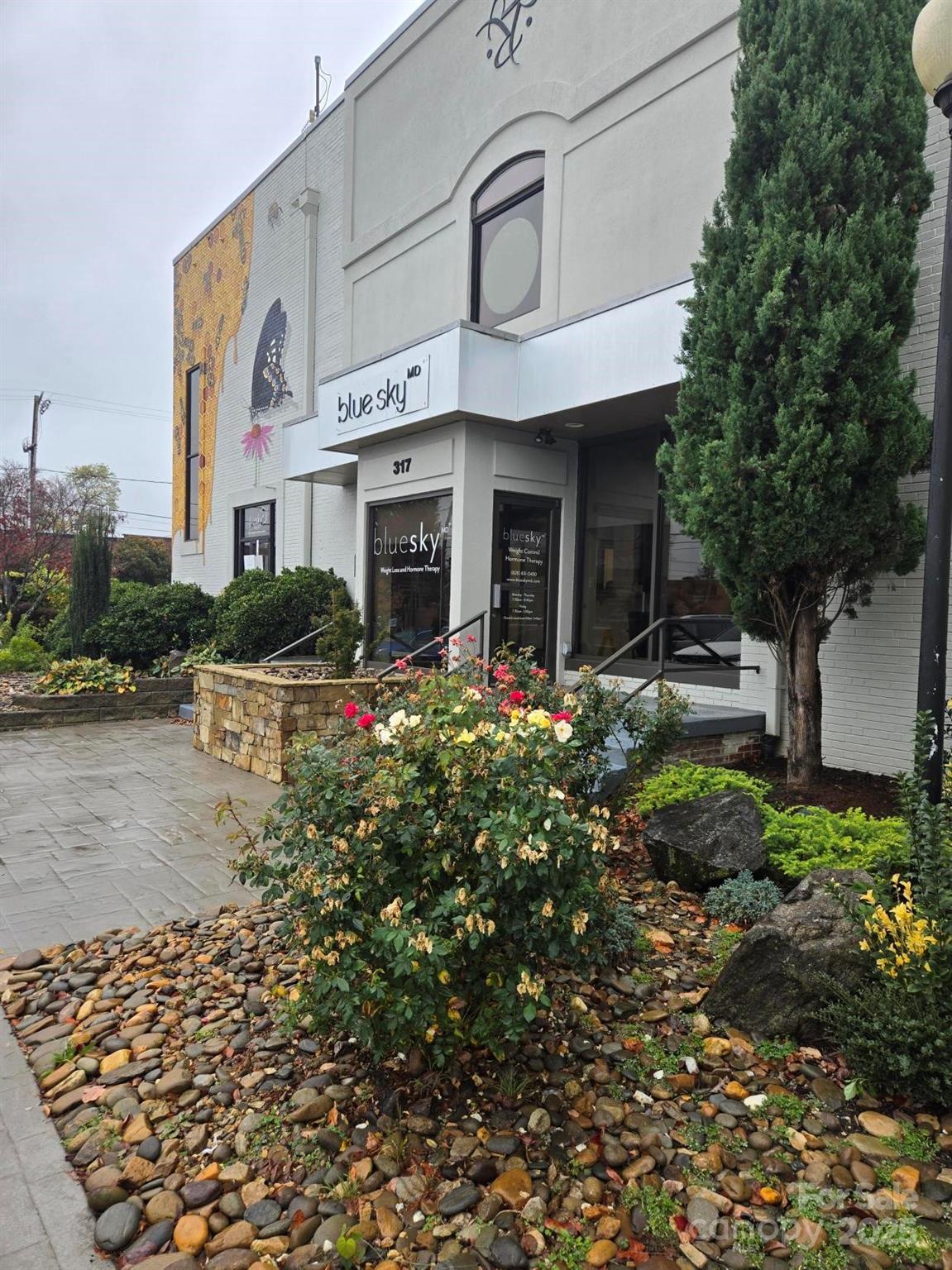 Office at 317 N King Street, Hendersonville, photo 2 of 17
