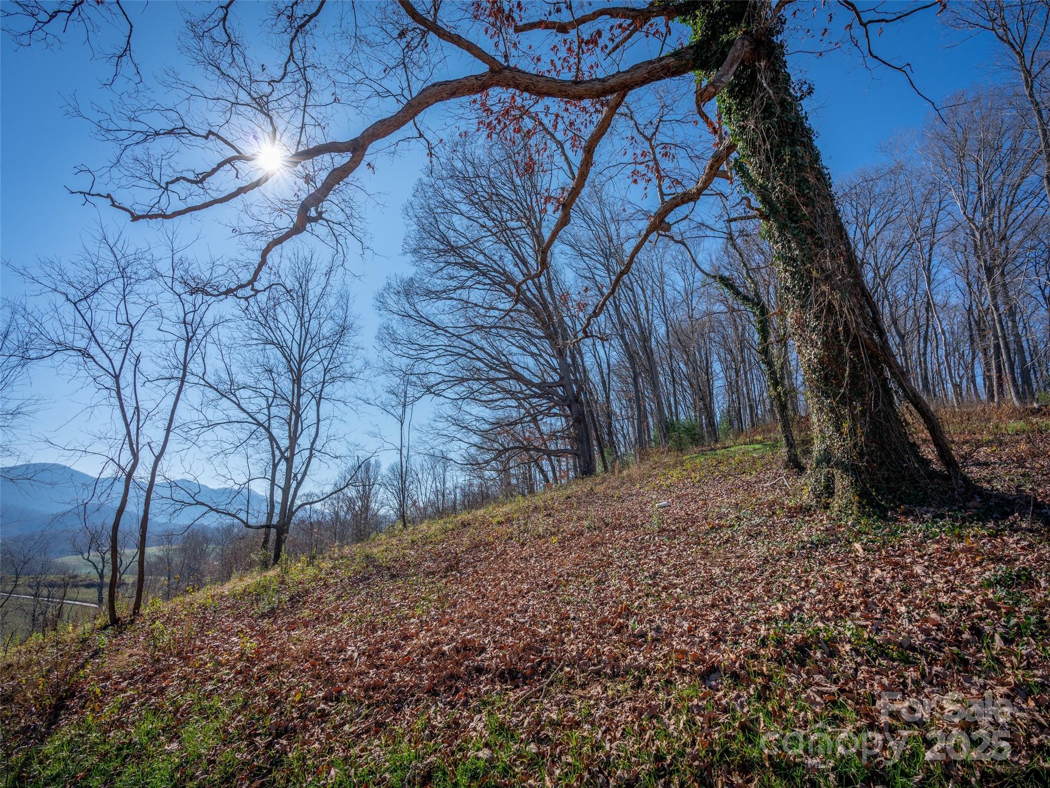 Lot at 00 Aster Ridge Drive, Waynesville, photo 35 of 39