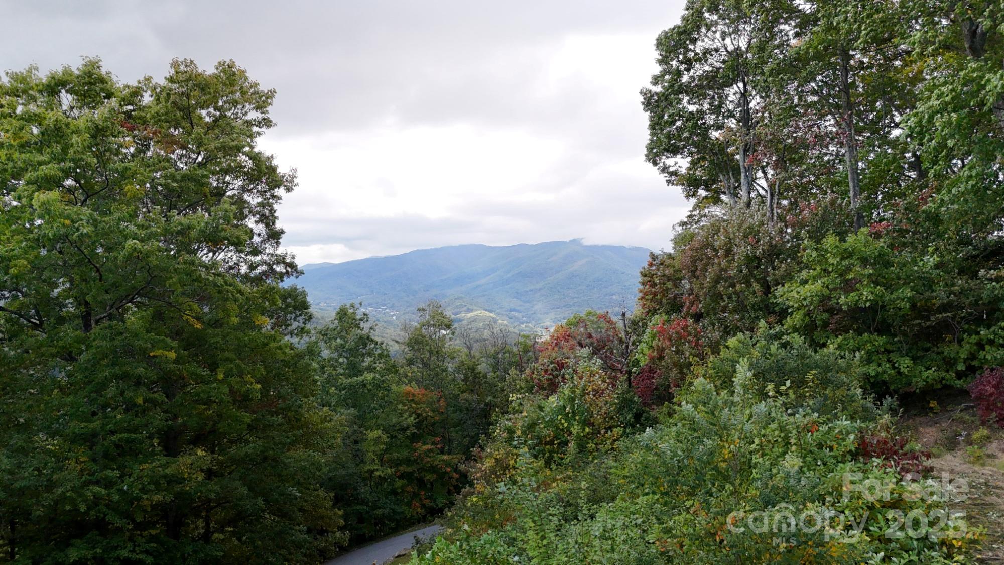 Single Family Residence at Lot 45 Weatherwatch Lane, Waynesville, photo 8 of 43