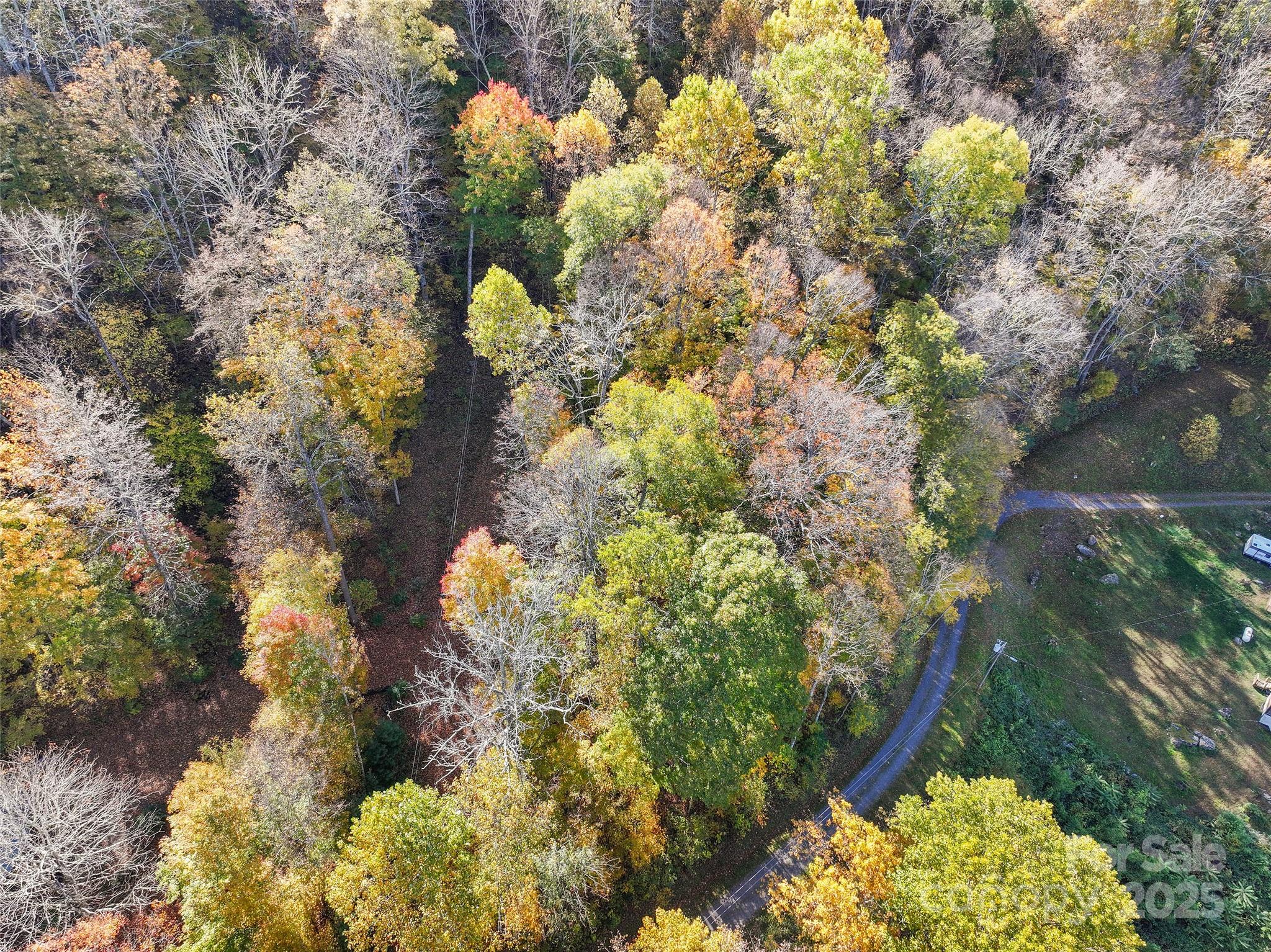 Lot at Lot 316 McGuires Ridge, Waynesville, photo 3 of 9
