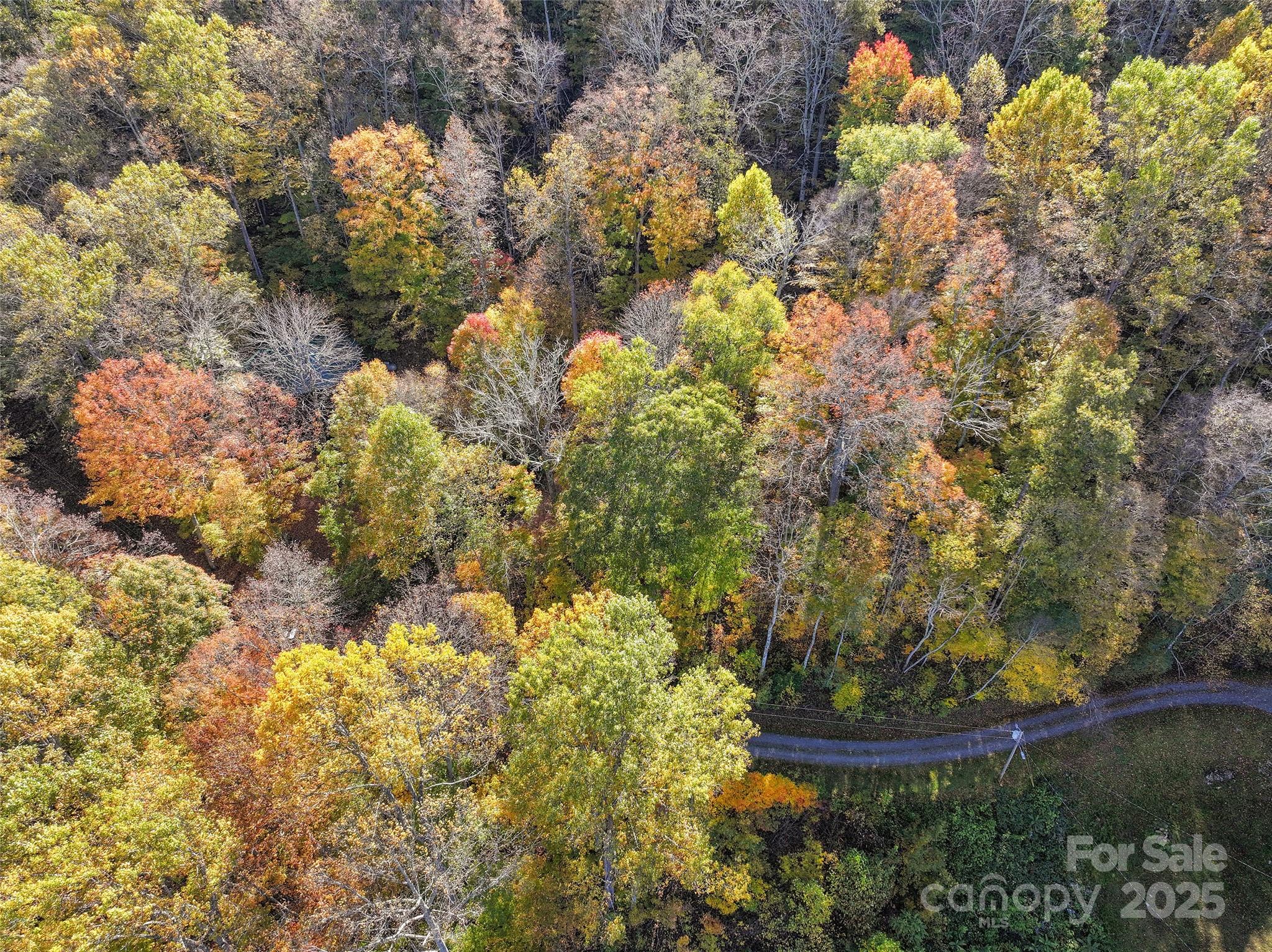 Lot at Lot 316 McGuires Ridge, Waynesville, photo 4 of 9