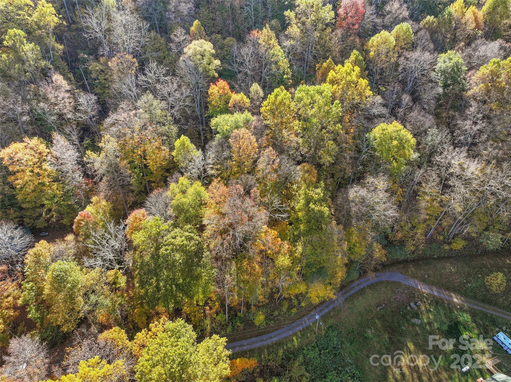 Lot at Lot 316 McGuires Ridge, Waynesville, photo 5 of 9