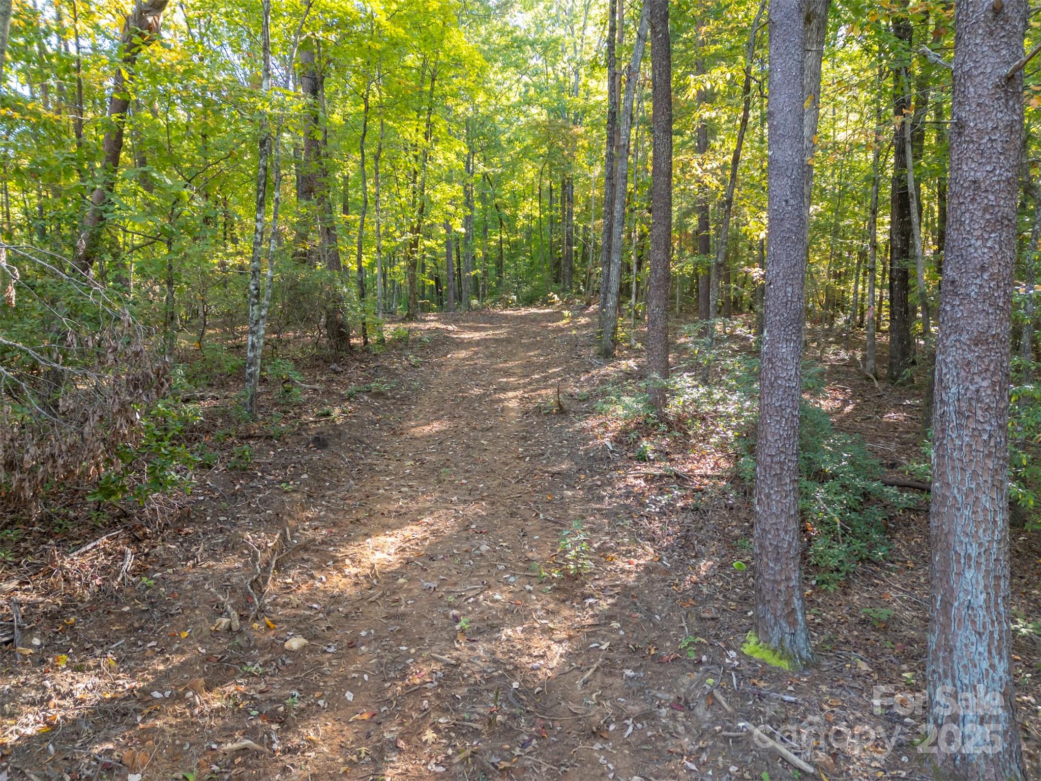 Acreage at 3298 Buffalo Creek Road, Lake Lure, photo 2 of 26
