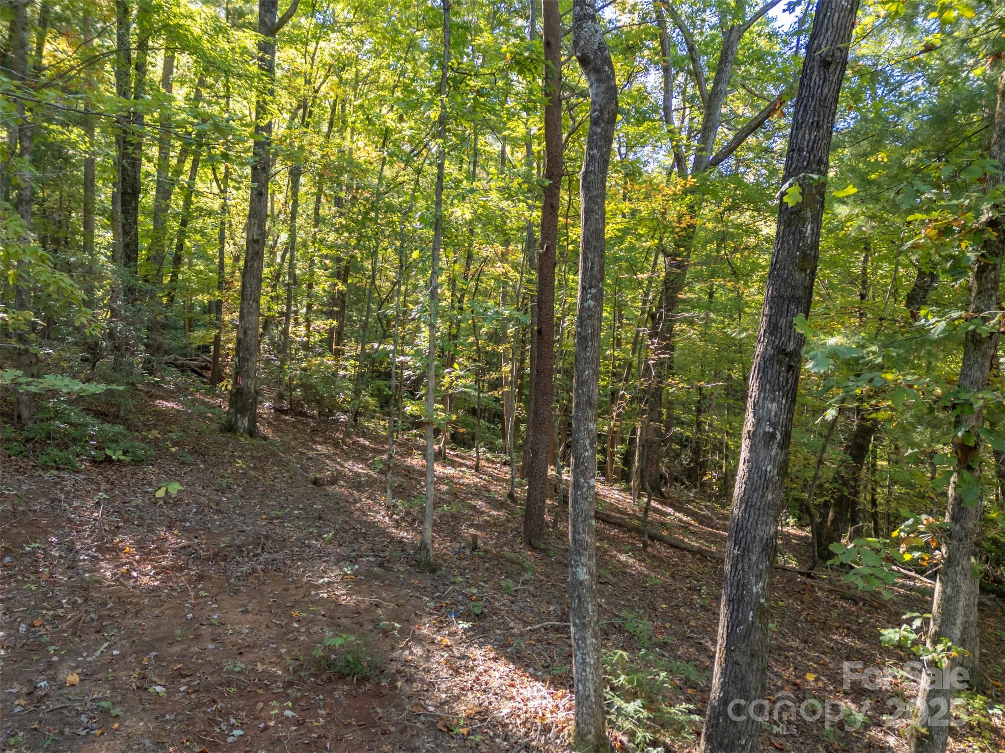 Acreage at 3298 Buffalo Creek Road, Lake Lure, photo 3 of 26