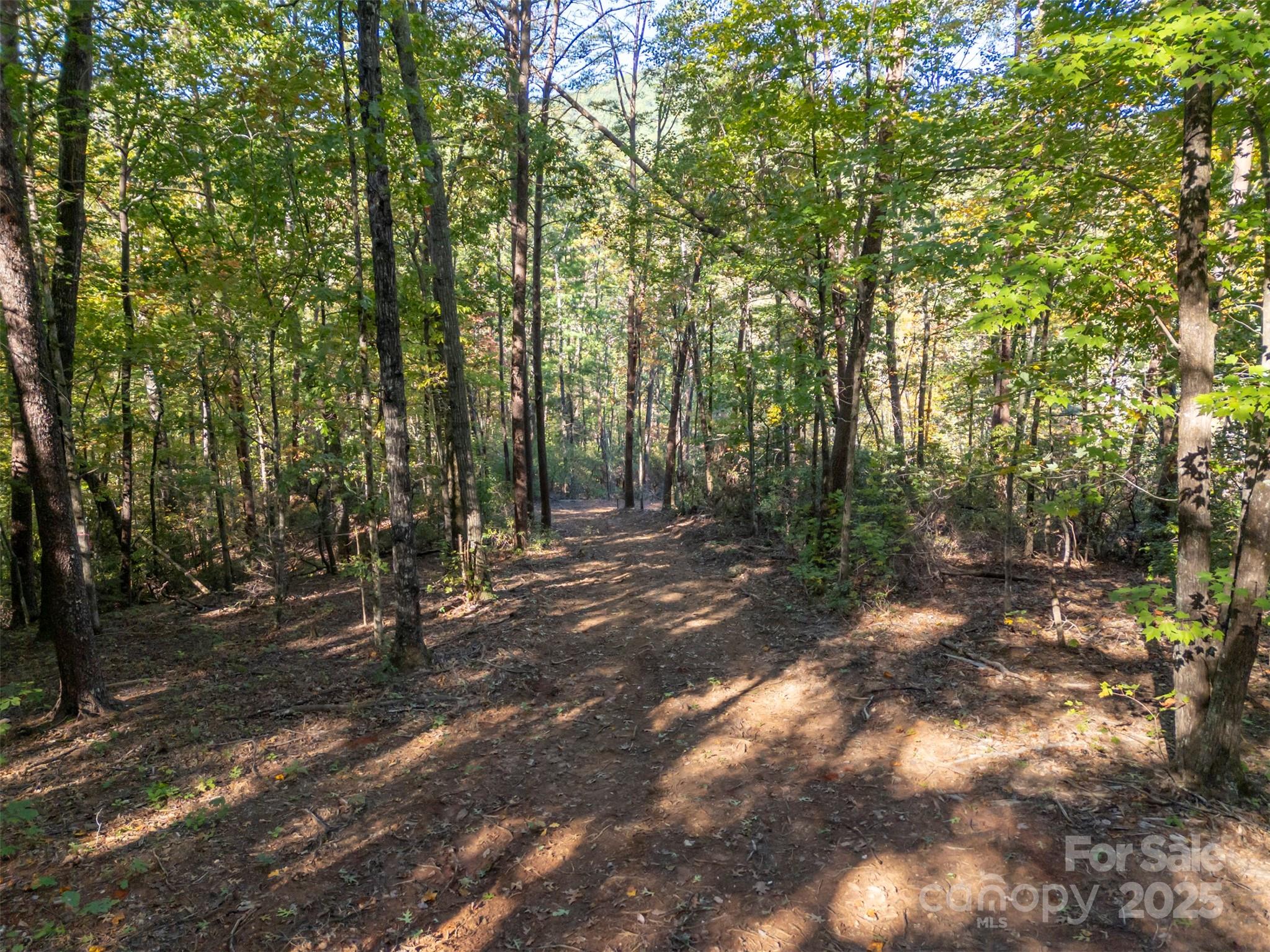 Acreage at 3298 Buffalo Creek Road, Lake Lure, photo 4 of 26