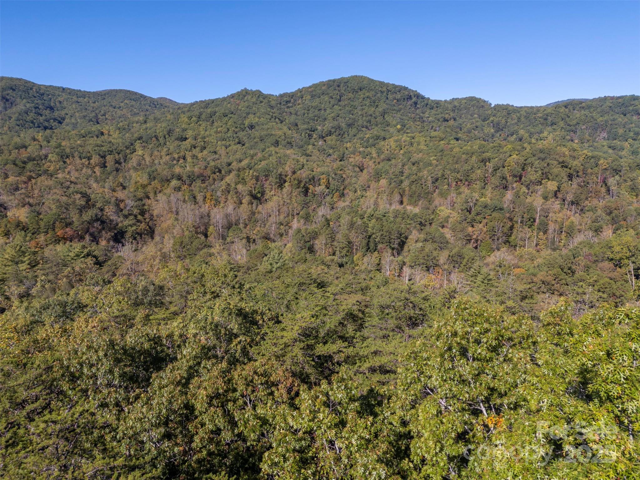 Acreage at 3298 Buffalo Creek Road, Lake Lure, photo 5 of 26