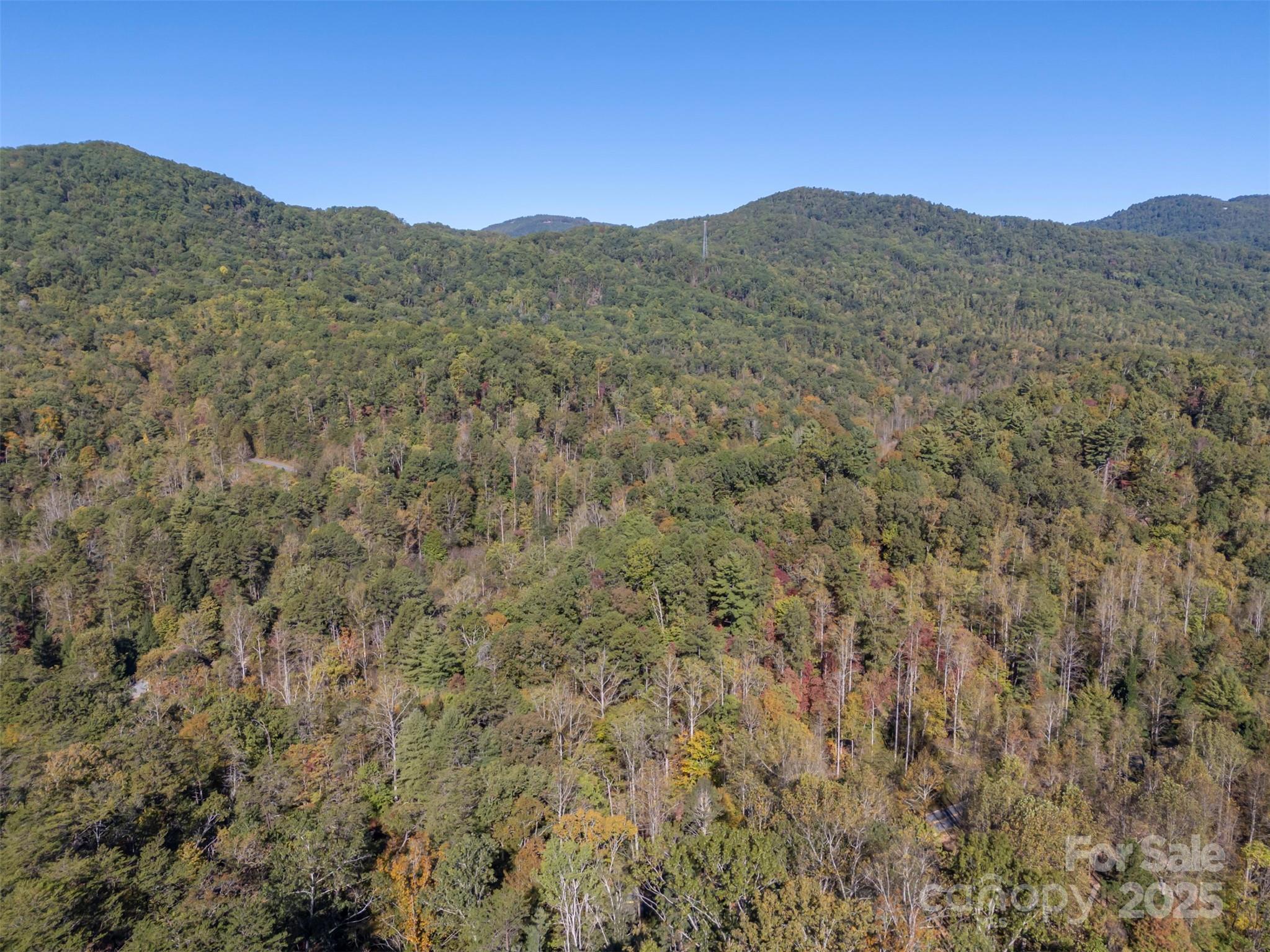 Acreage at 3298 Buffalo Creek Road, Lake Lure, photo 6 of 26