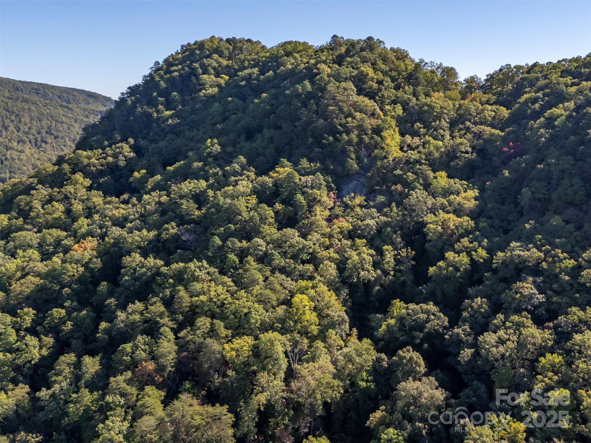 Acreage at 3298 Buffalo Creek Road, Lake Lure, photo 7 of 26