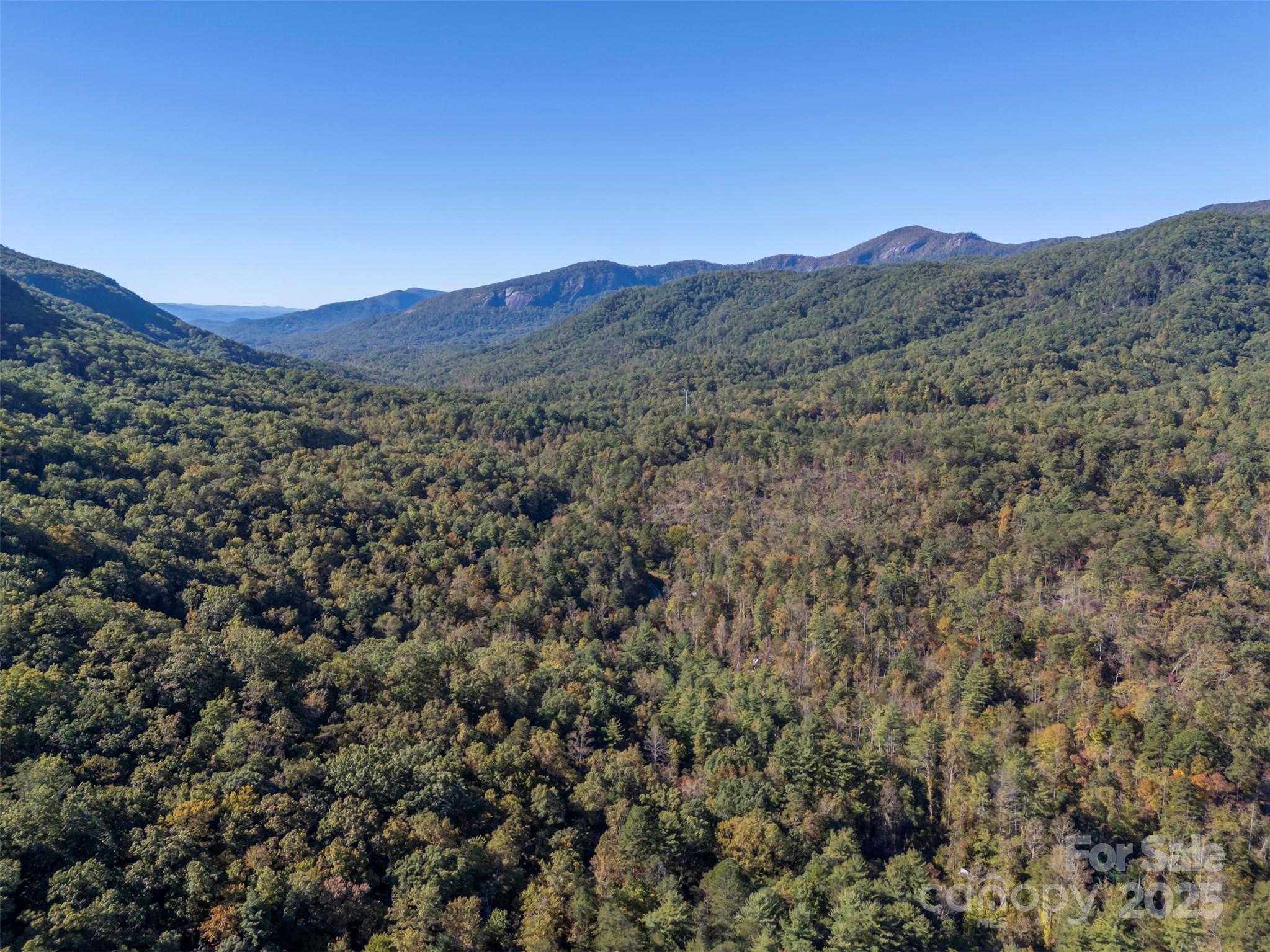 Acreage at 3298 Buffalo Creek Road, Lake Lure, photo 8 of 26