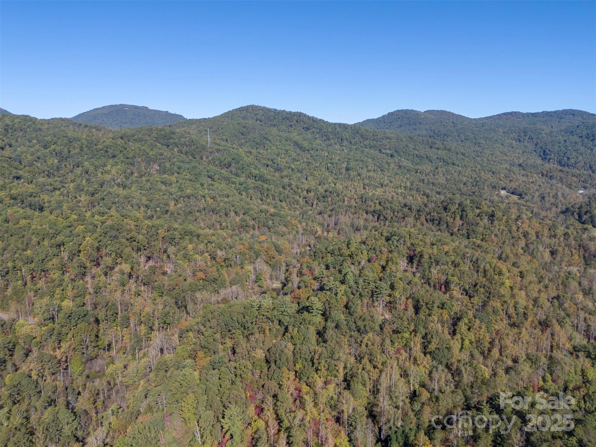 Acreage at 3298 Buffalo Creek Road, Lake Lure, photo 9 of 26