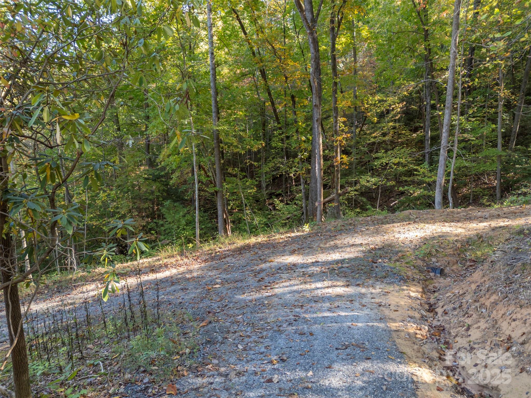 Acreage at 3298 Buffalo Creek Road, Lake Lure, photo 12 of 26