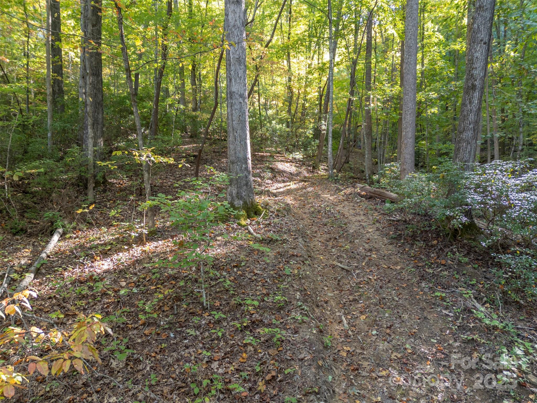 Acreage at 3298 Buffalo Creek Road, Lake Lure, photo 13 of 26