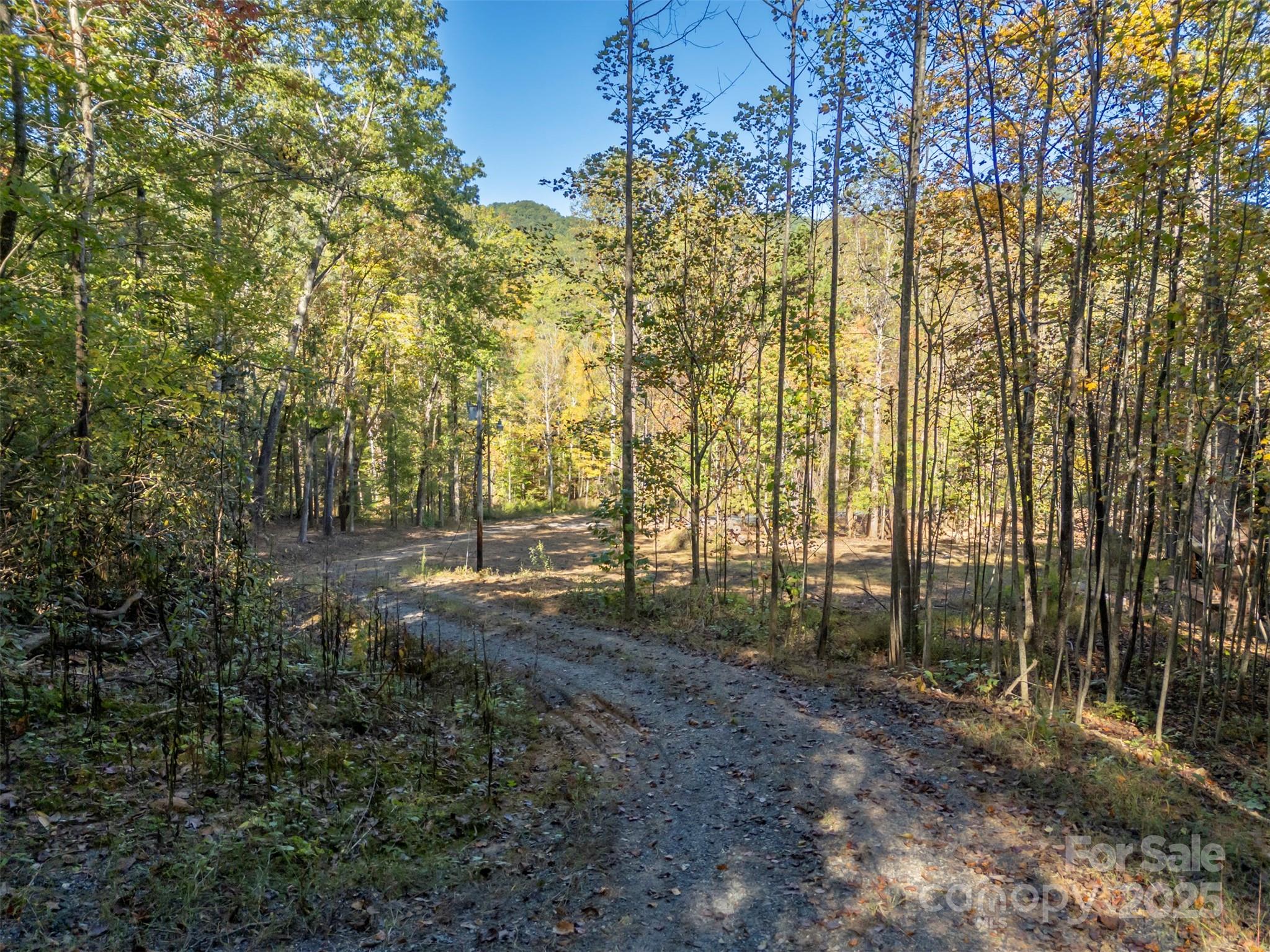 Acreage at 3298 Buffalo Creek Road, Lake Lure, photo 14 of 26