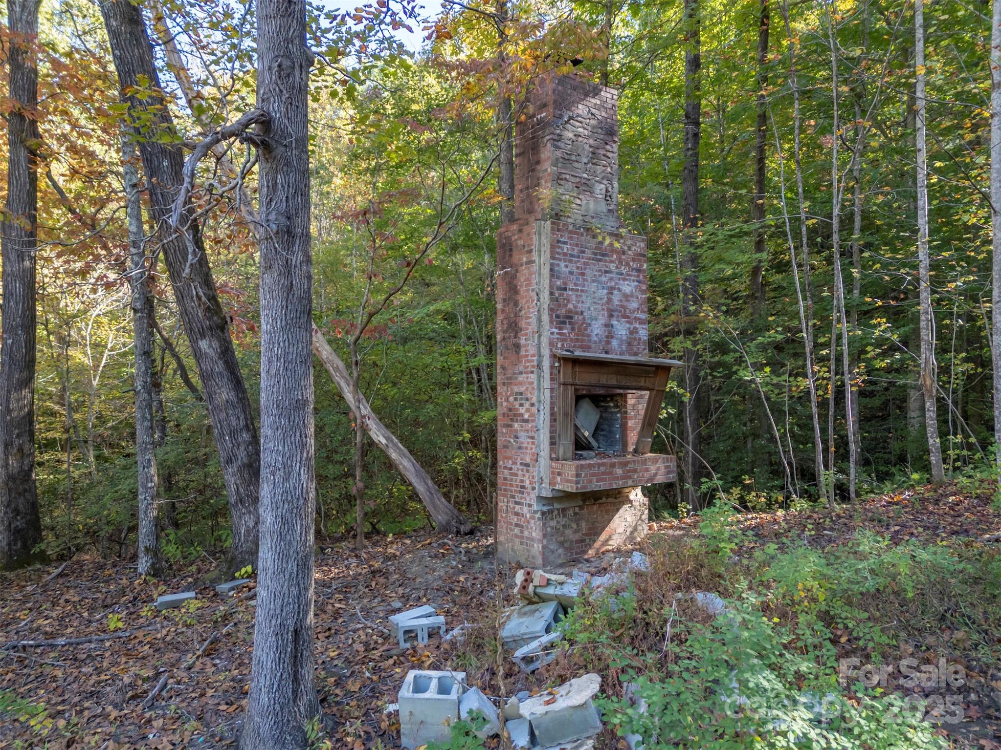 Acreage at 3298 Buffalo Creek Road, Lake Lure, photo 15 of 26