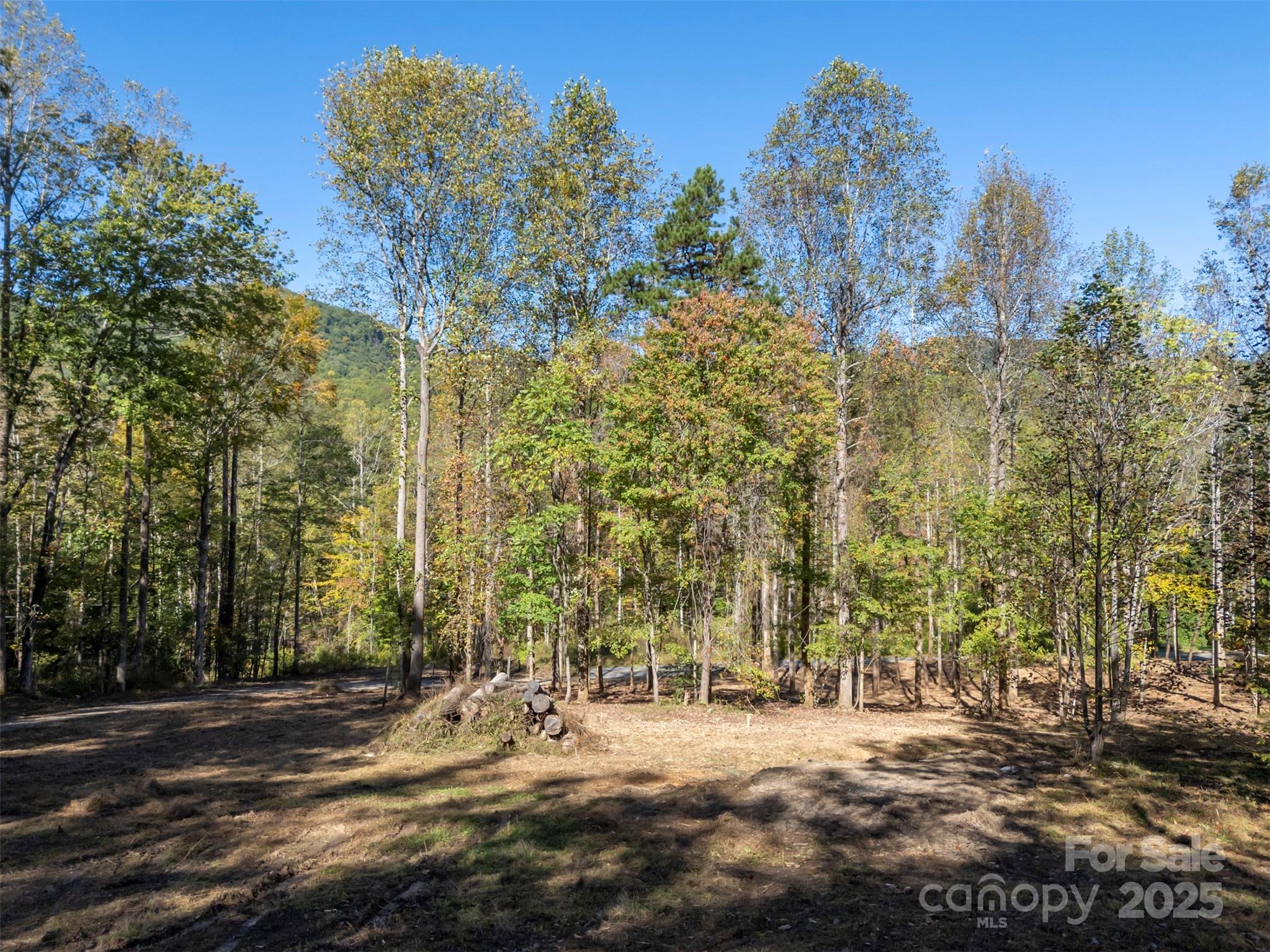 Acreage at 3298 Buffalo Creek Road, Lake Lure, photo 16 of 26