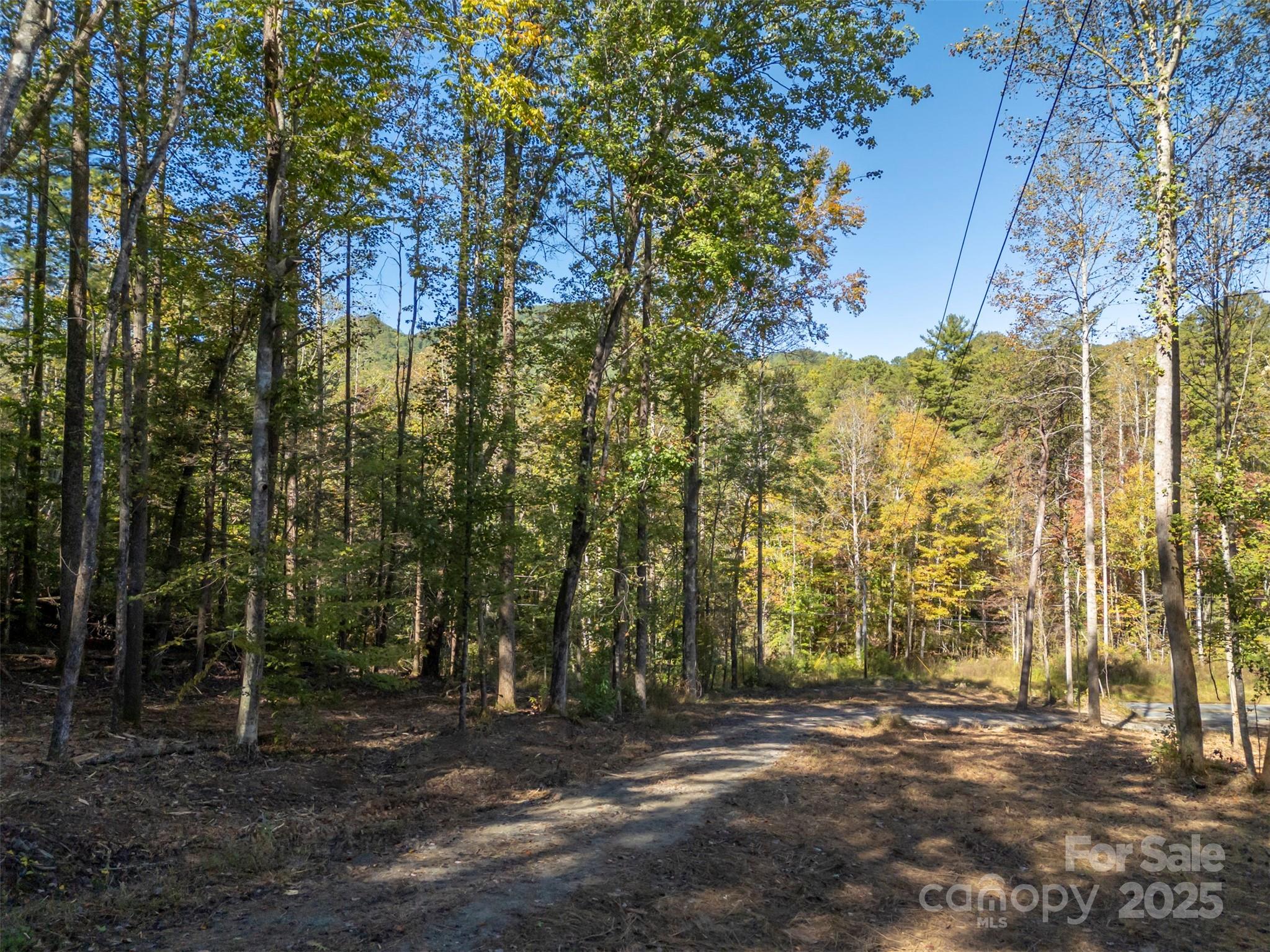 Acreage at 3298 Buffalo Creek Road, Lake Lure, photo 17 of 26