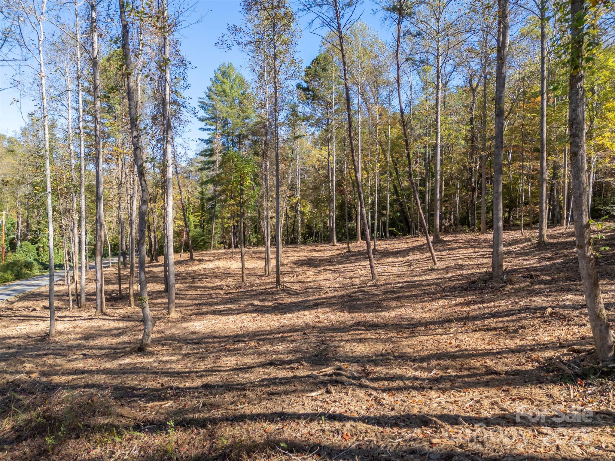 Acreage at 3298 Buffalo Creek Road, Lake Lure, photo 19 of 26