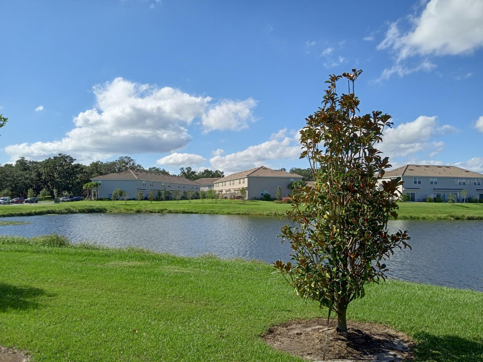 Townhouse at 3604 LANDING NET DR, KISSIMMEE, photo 5 of 9