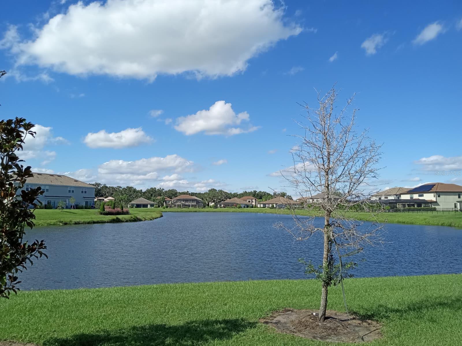 Townhouse at 3604 LANDING NET DR, KISSIMMEE, photo 6 of 9