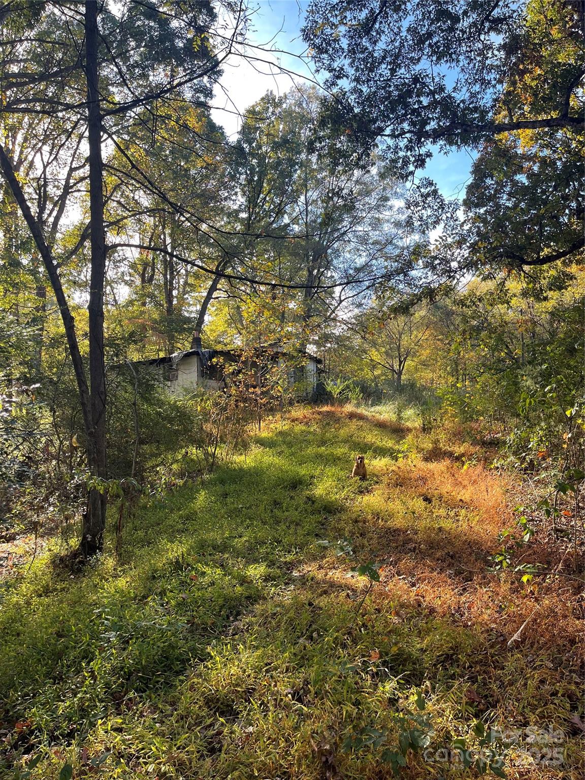 Lot at 137 Stacy Road, Mooresville, photo 5 of 9