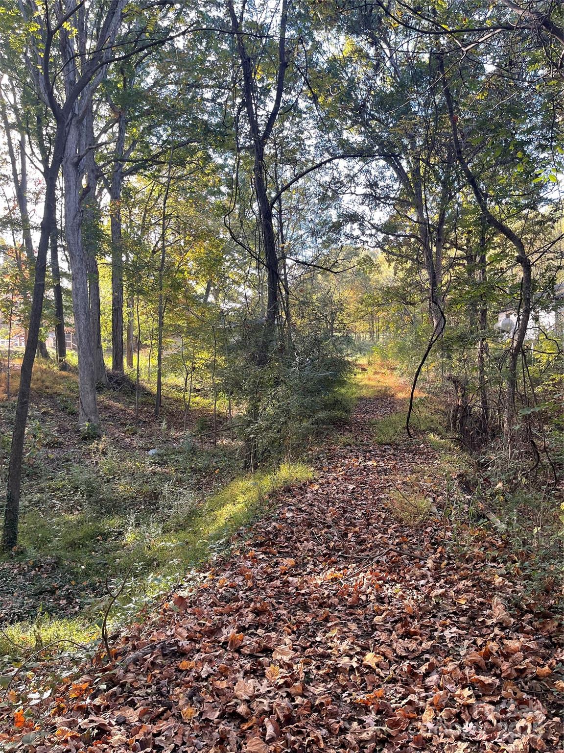 Lot at 137 Stacy Road, Mooresville, photo 6 of 9