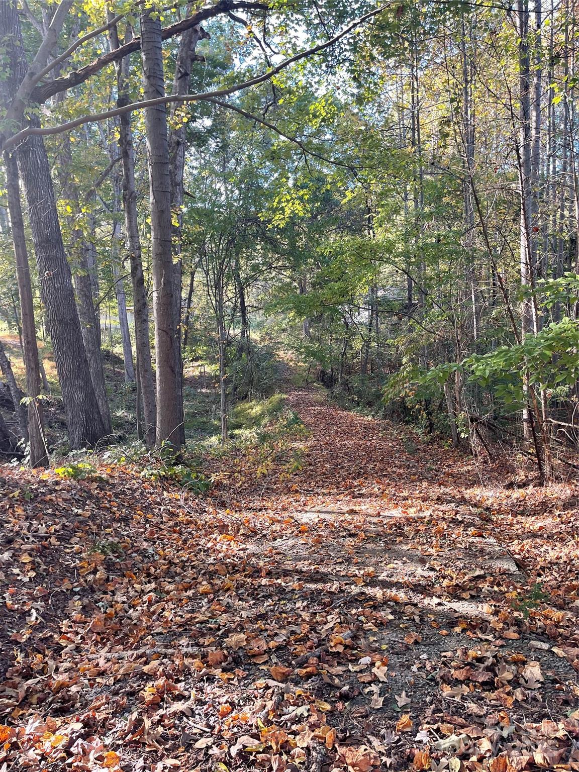 Lot at 137 Stacy Road, Mooresville, photo 9 of 9