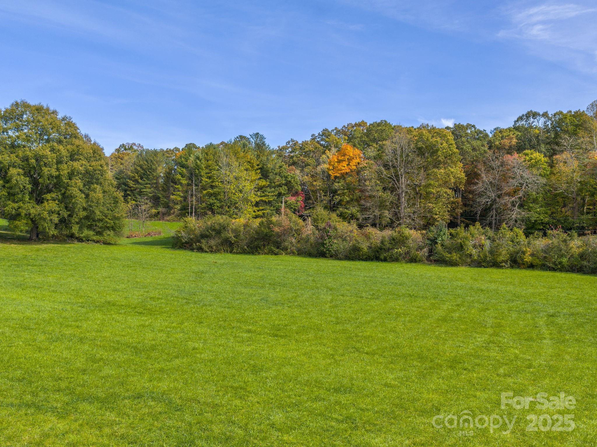 Unimproved Commercial at 5620 Old Haywood Road, Mills River, photo 9 of 22