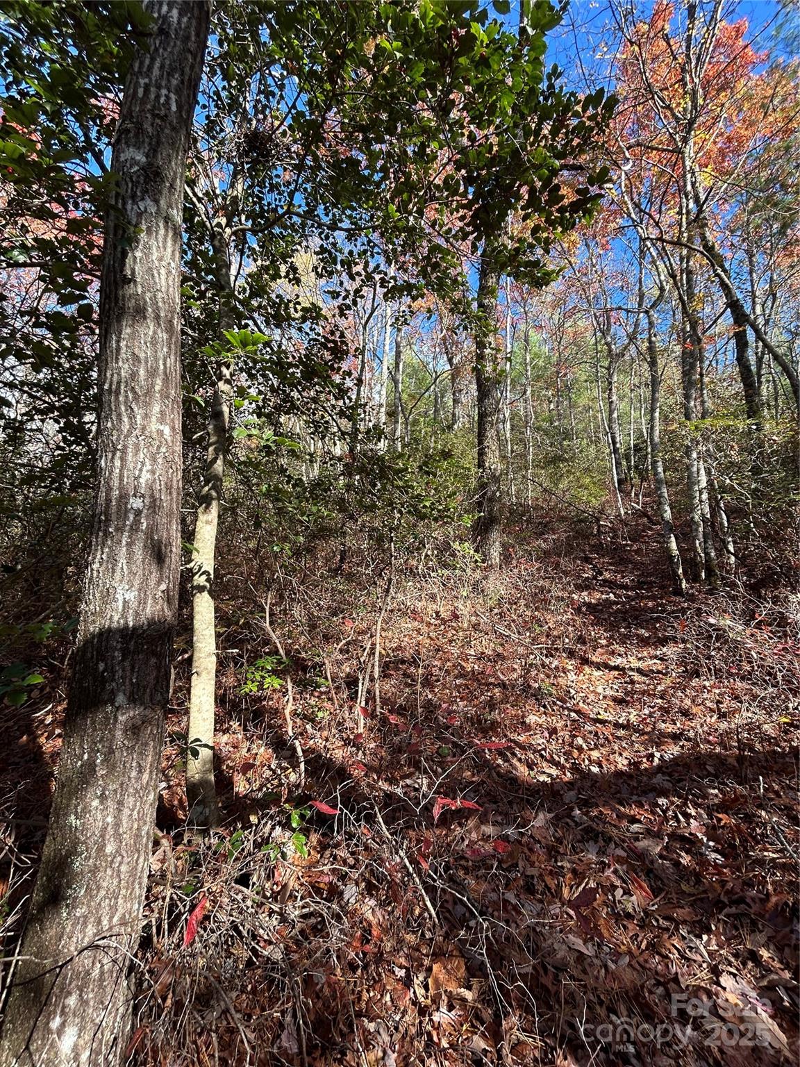 Lot at Lot 3 and 4 Oriole Road, Brevard, photo 2 of 7