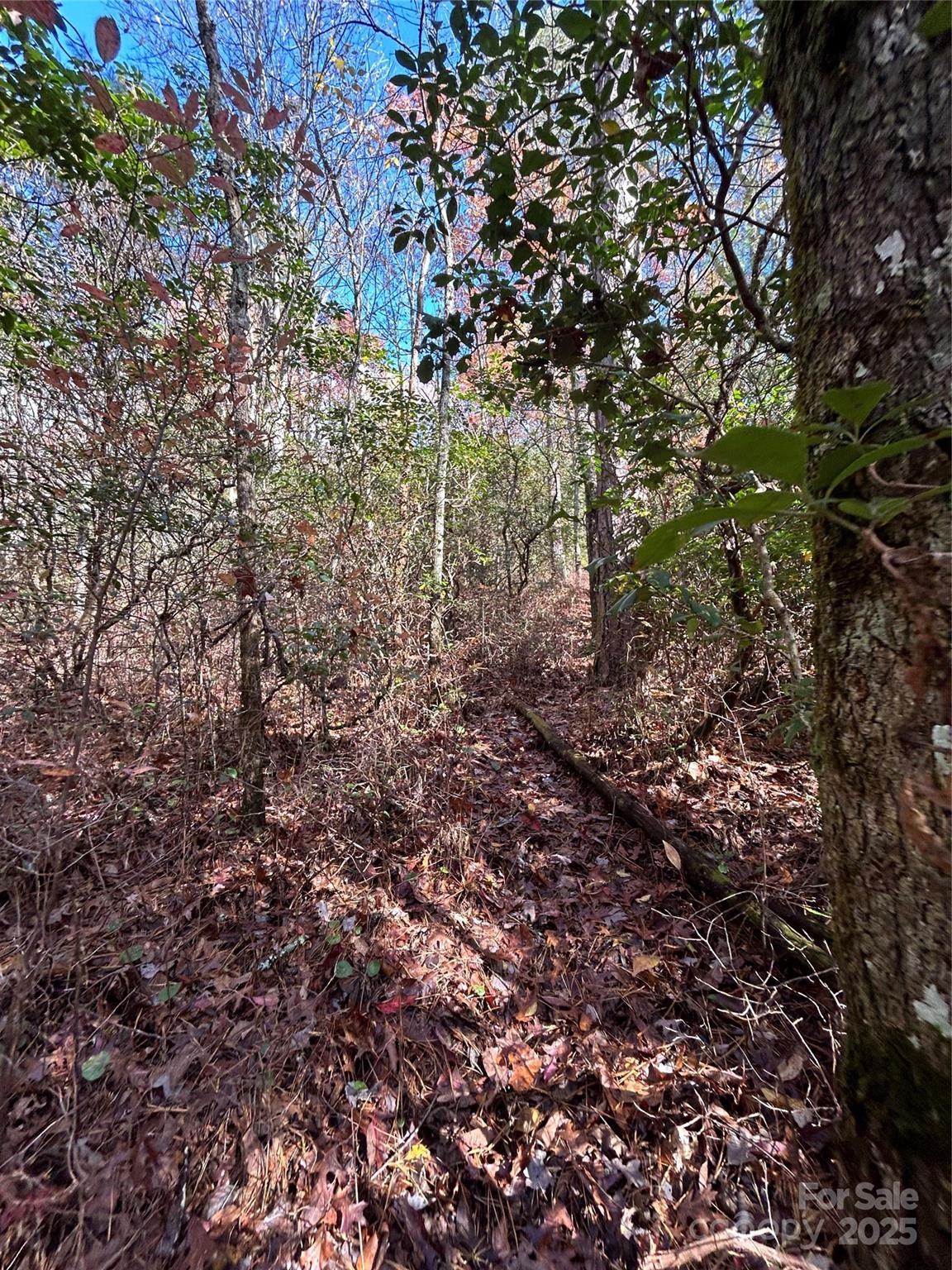 Lot at Lot 3 and 4 Oriole Road, Brevard, photo 3 of 7