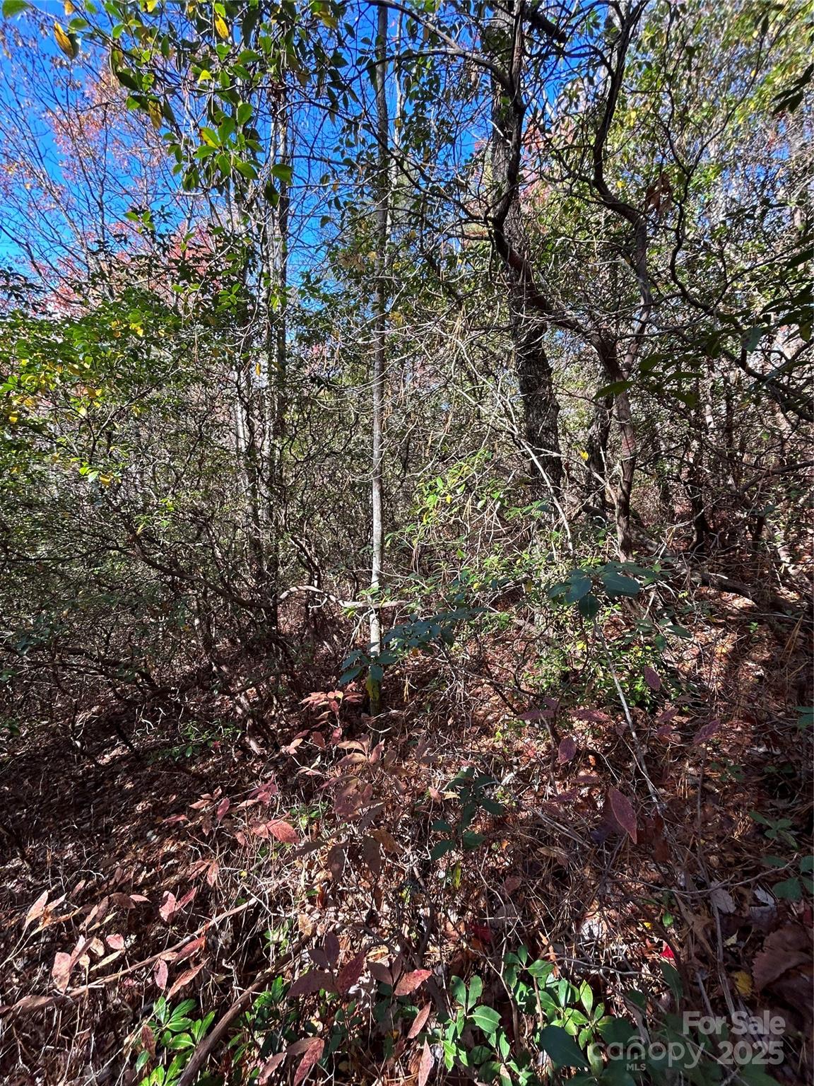 Lot at Lot 3 and 4 Oriole Road, Brevard, photo 4 of 7