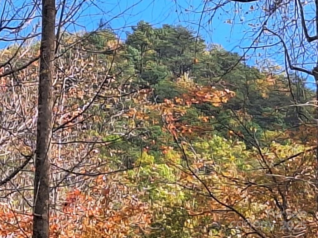 Acreage at 3298 Buffalo Creek Road, Lake Lure, photo 20 of 26