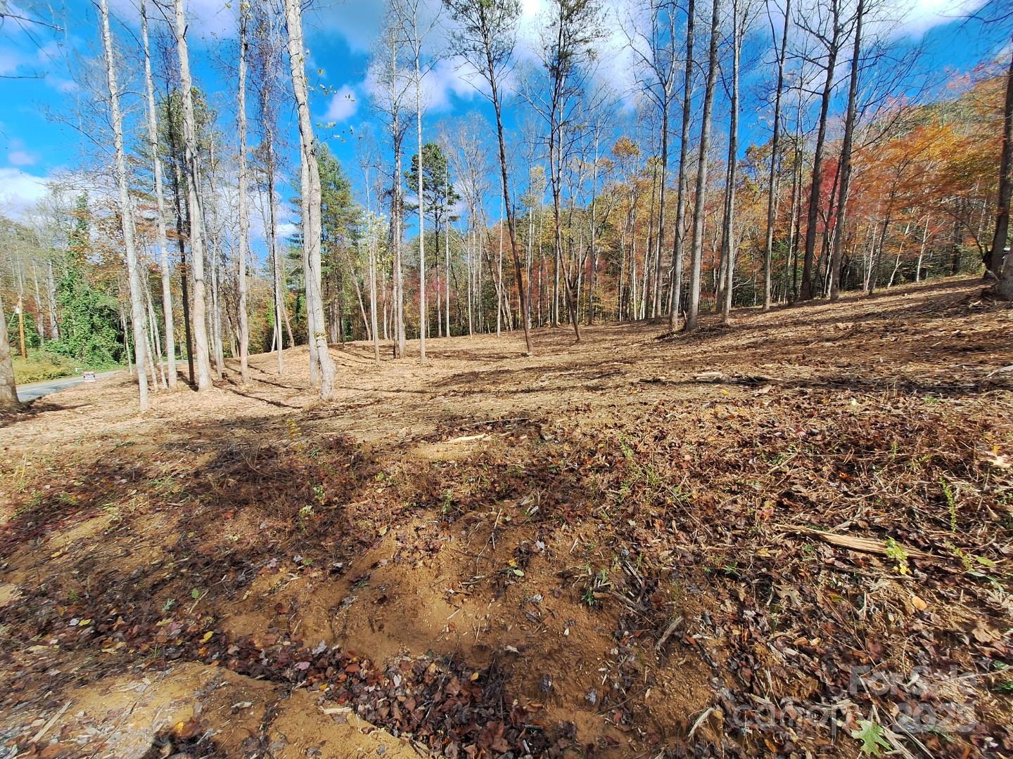 Acreage at 3298 Buffalo Creek Road, Lake Lure, photo 21 of 26