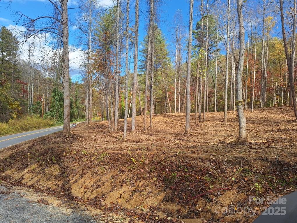 Acreage at 3298 Buffalo Creek Road, Lake Lure, photo 22 of 26