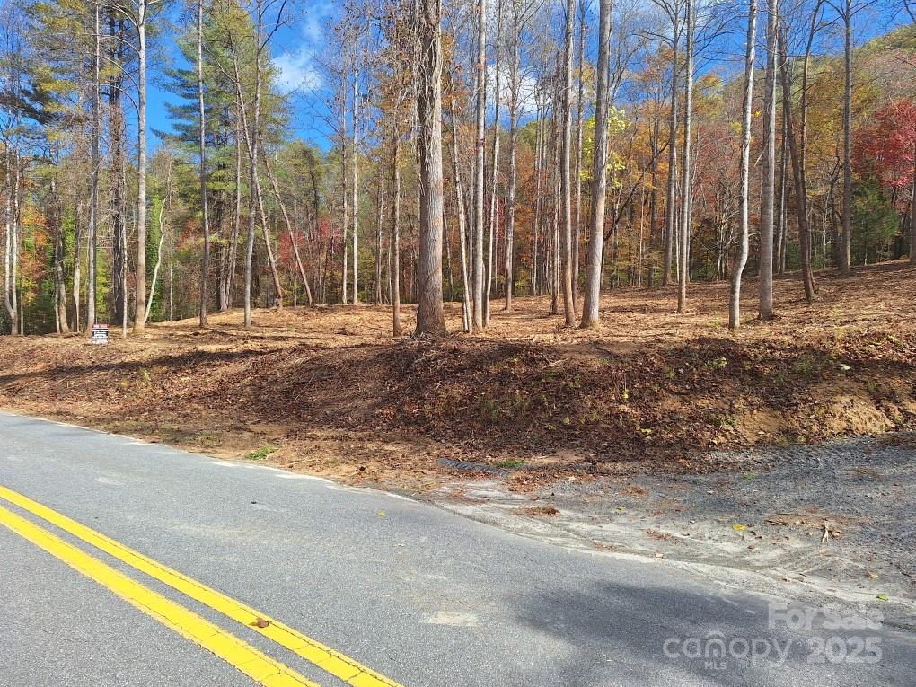 Acreage at 3298 Buffalo Creek Road, Lake Lure, photo 23 of 26
