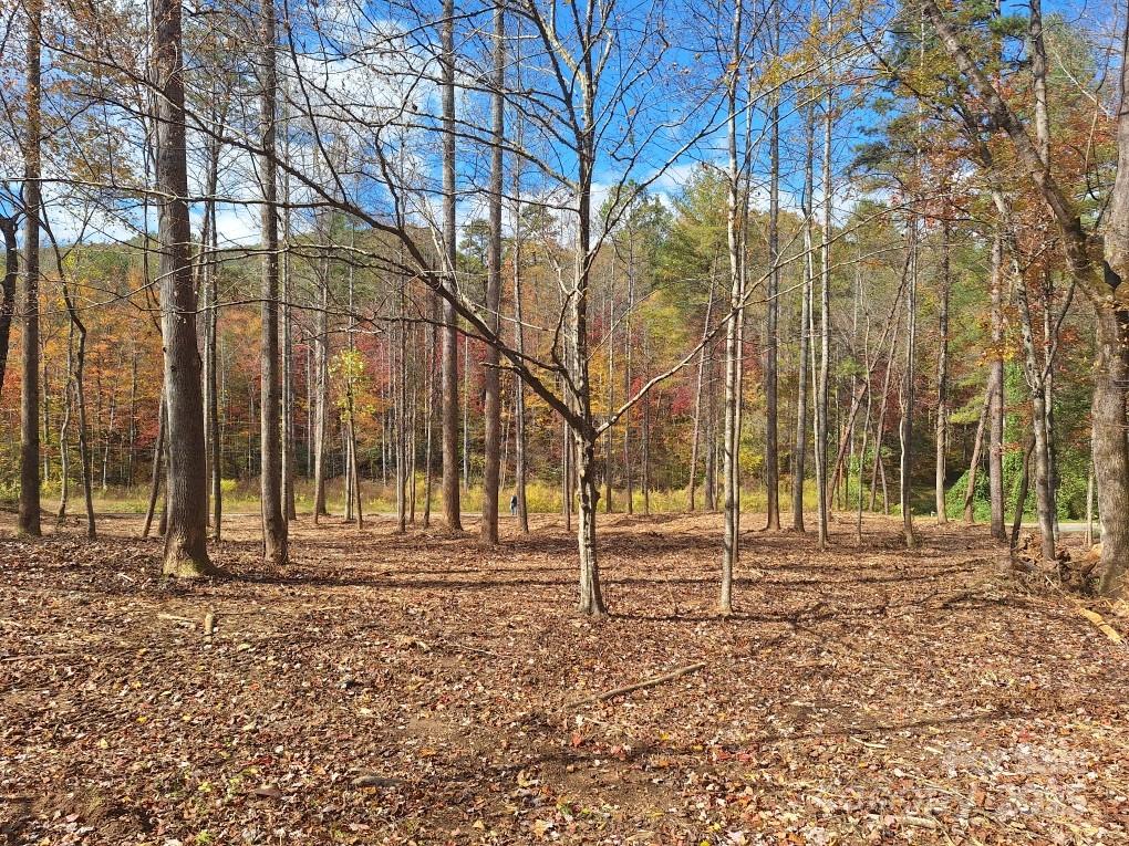 Acreage at 3298 Buffalo Creek Road, Lake Lure, photo 24 of 26