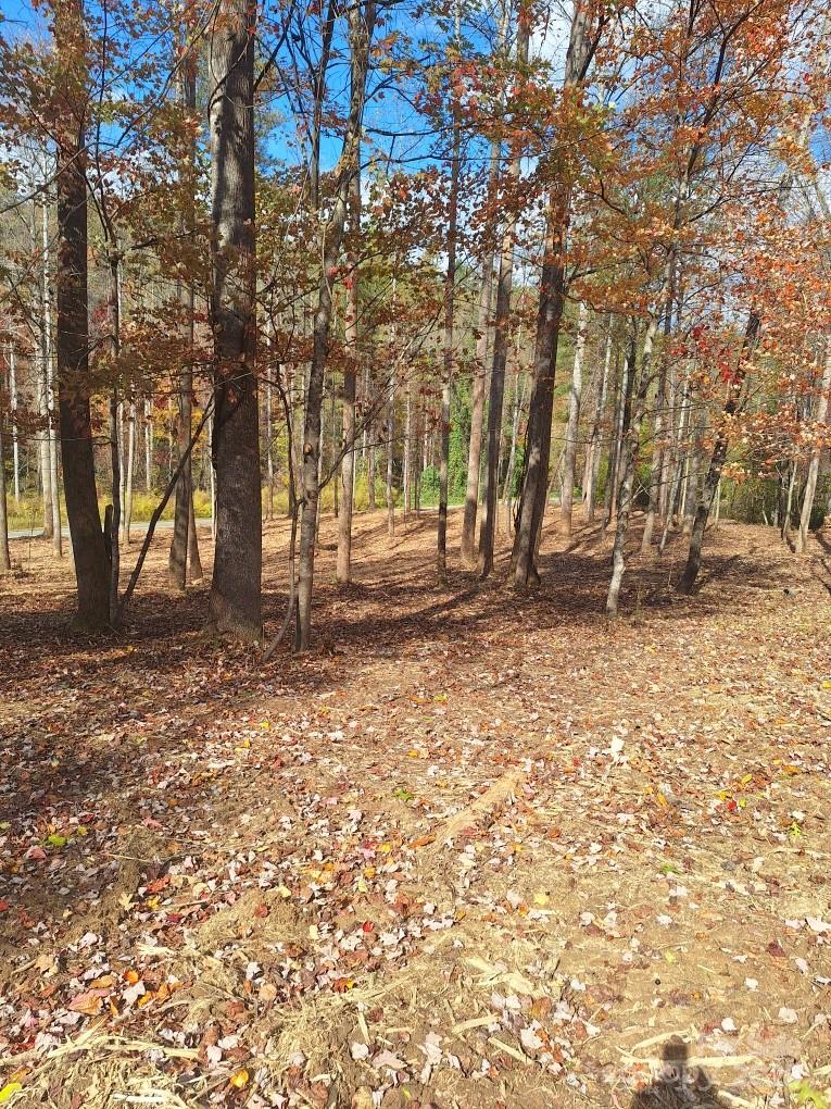 Acreage at 3298 Buffalo Creek Road, Lake Lure, photo 25 of 26